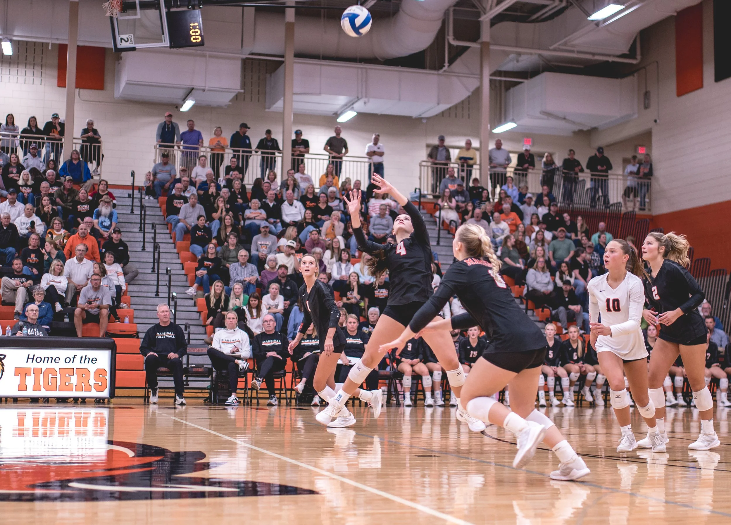 Tigers vs Alex (220).JPG