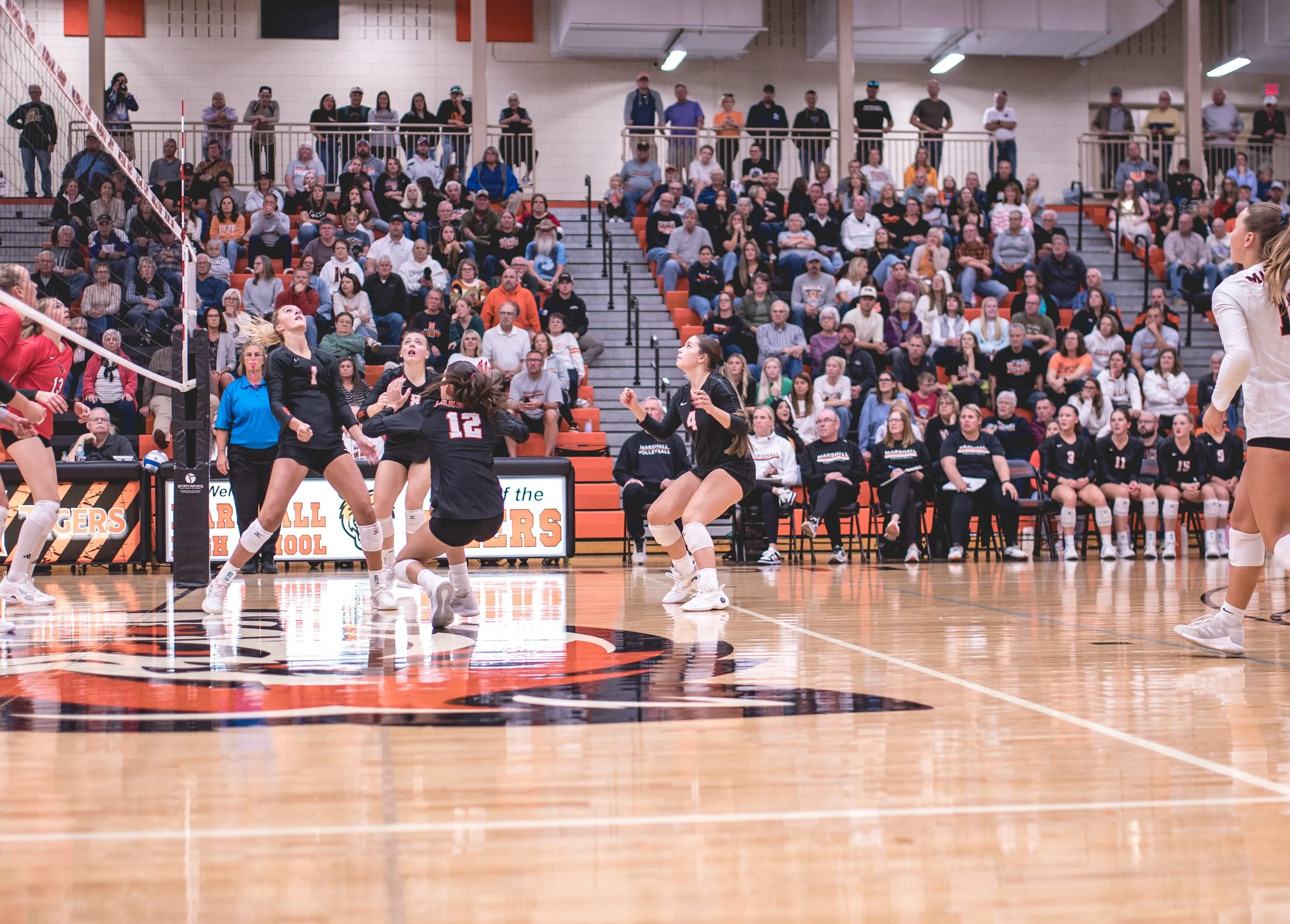 Tigers vs Alex (221).JPG