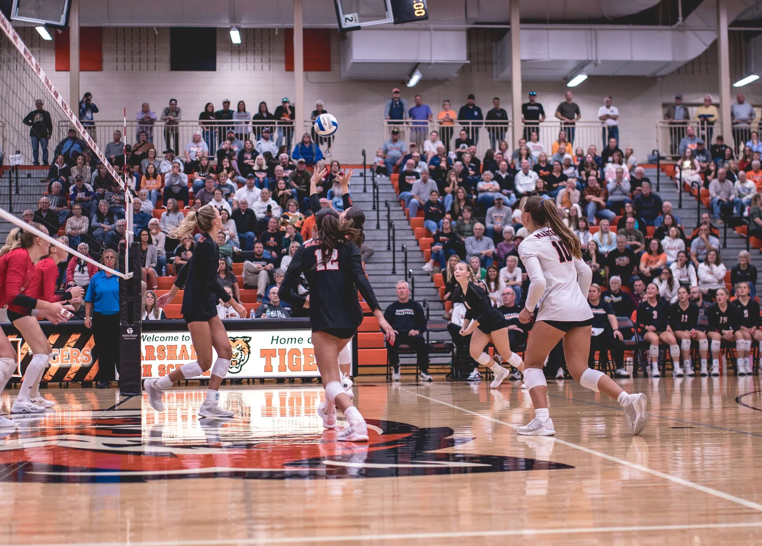 Tigers vs Alex (222).JPG