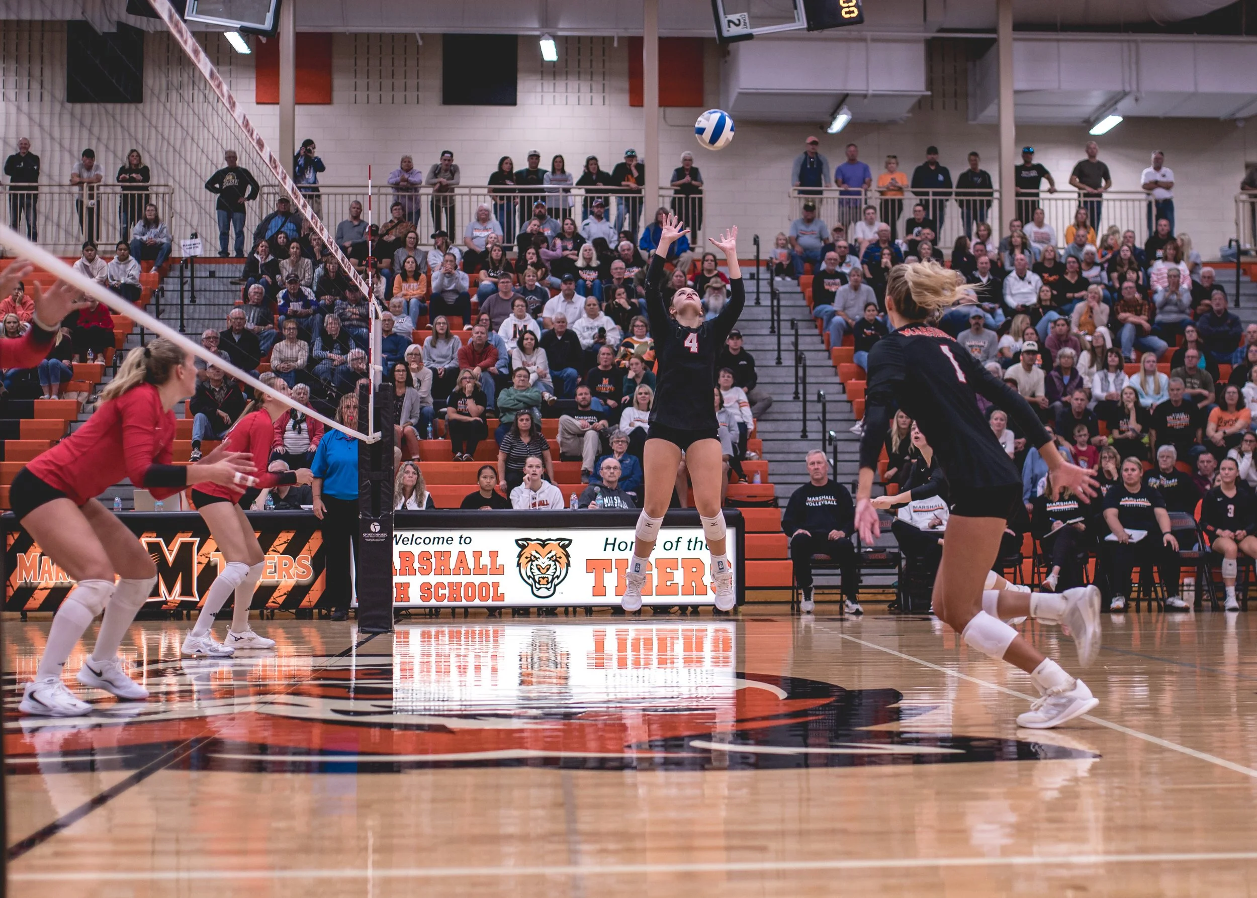 Tigers vs Alex (223).JPG