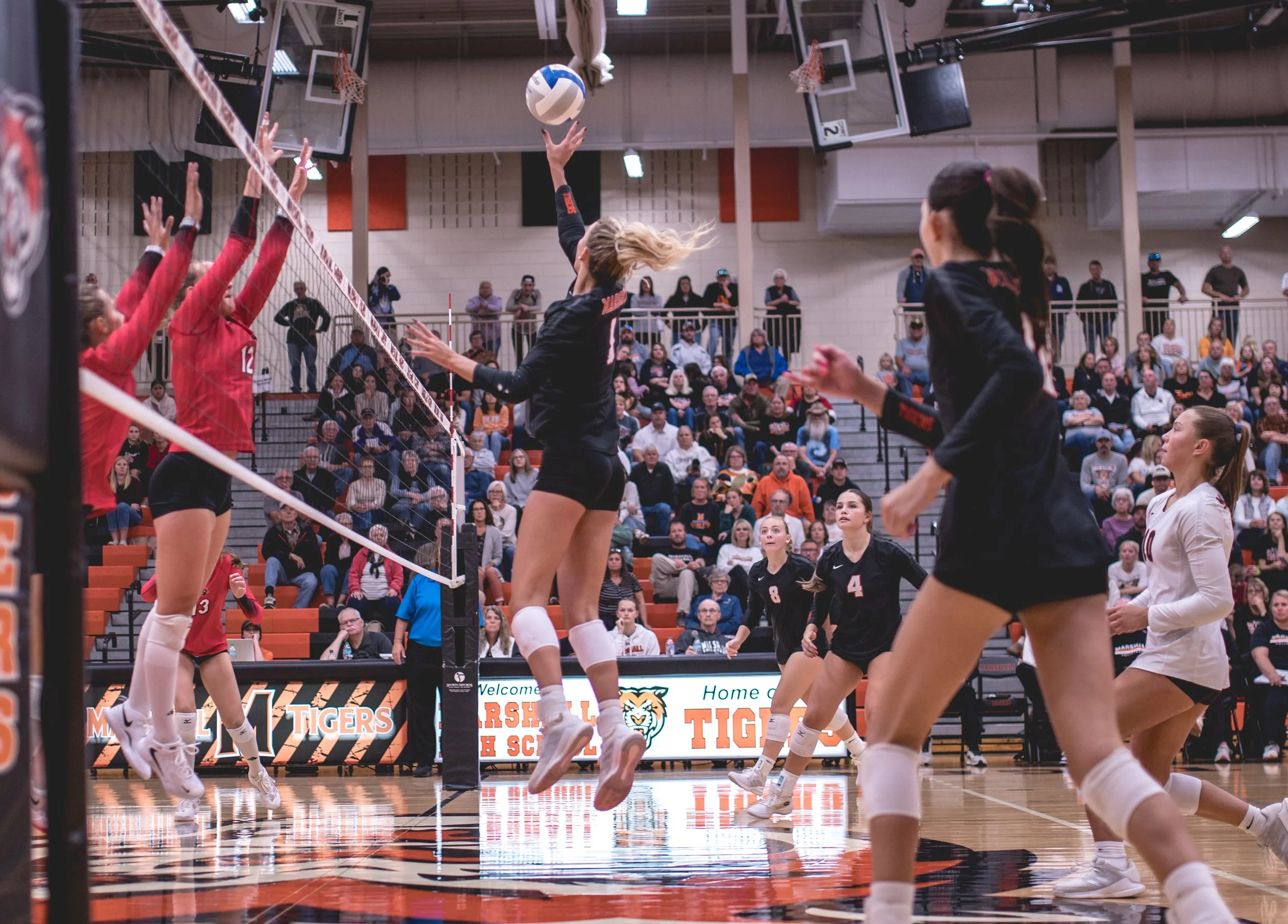 Tigers vs Alex (225).JPG