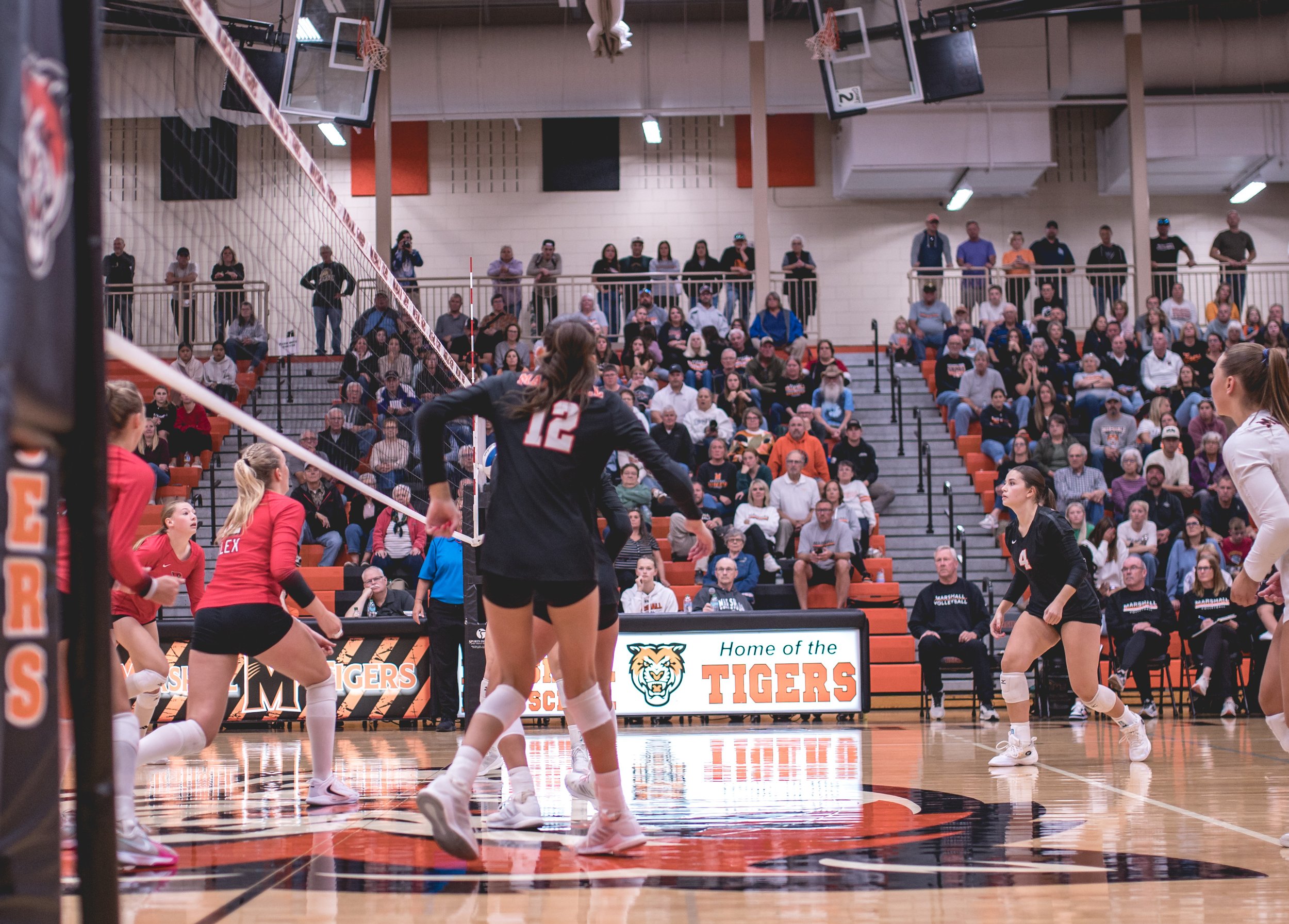 Tigers vs Alex (227).JPG