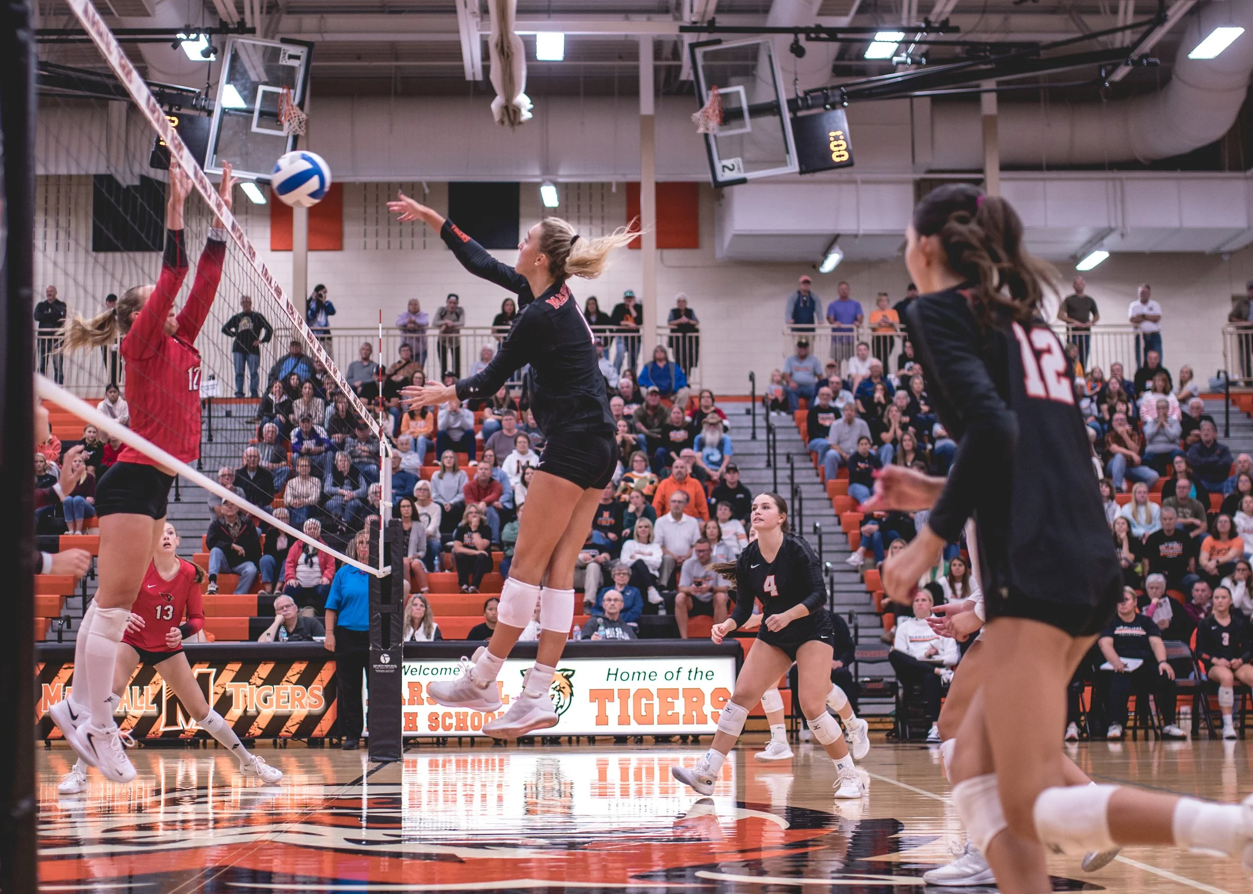 Tigers vs Alex (228).JPG