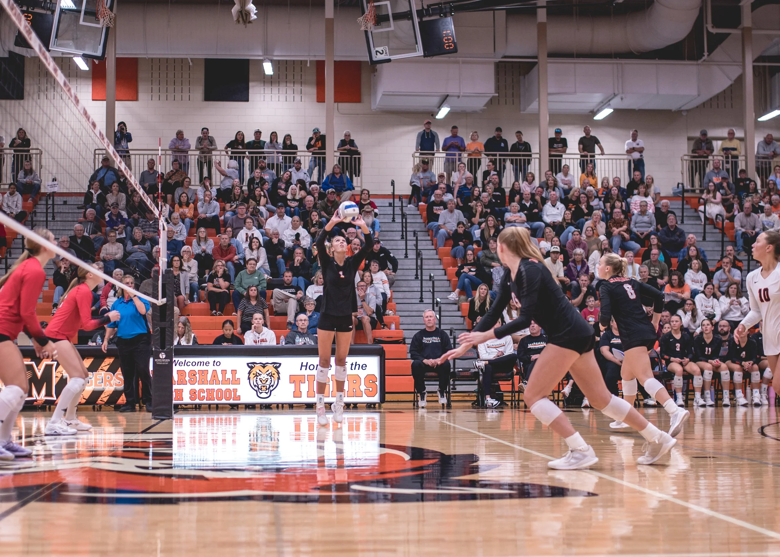 Tigers vs Alex (232).JPG