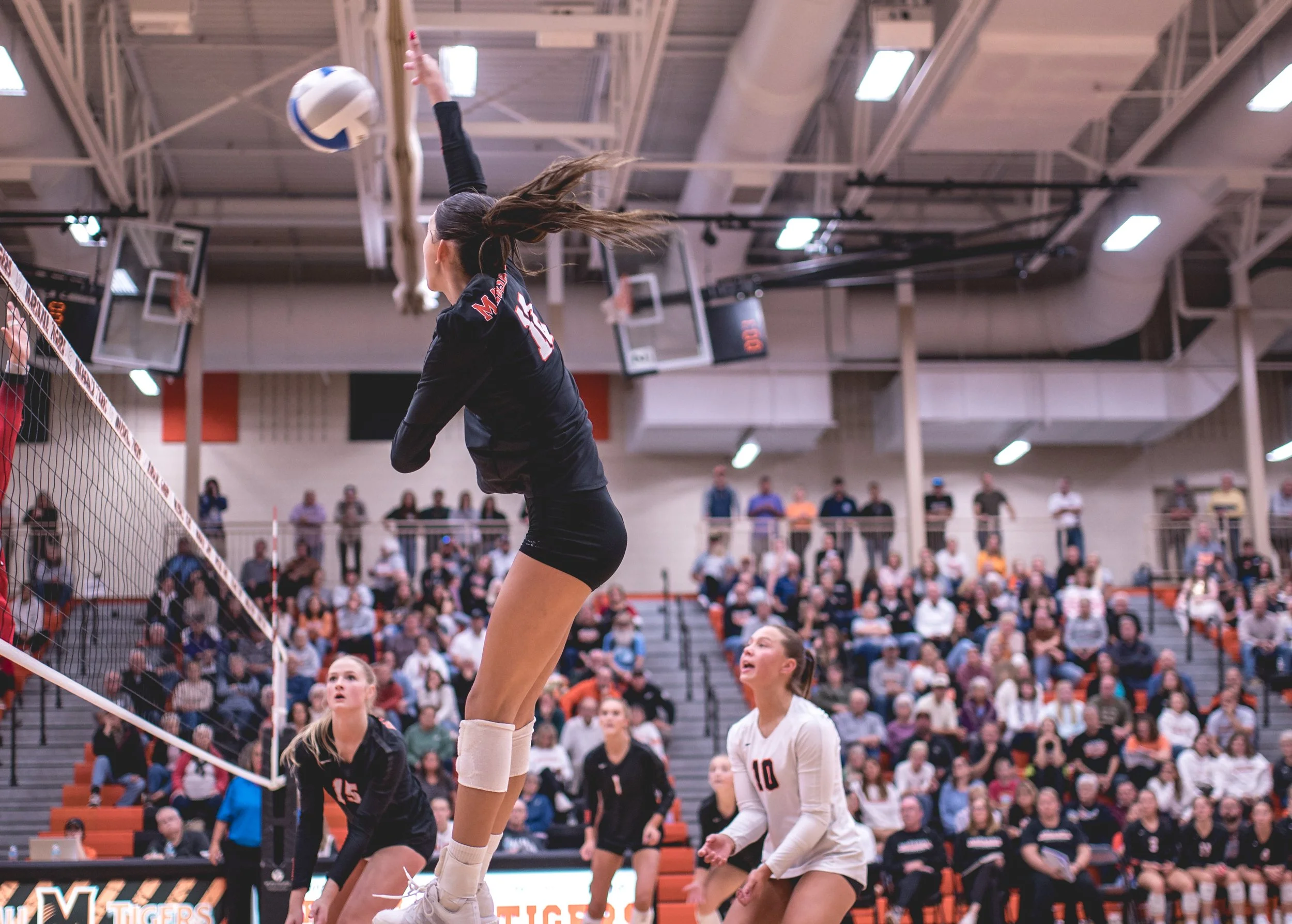 Tigers vs Alex (233).JPG