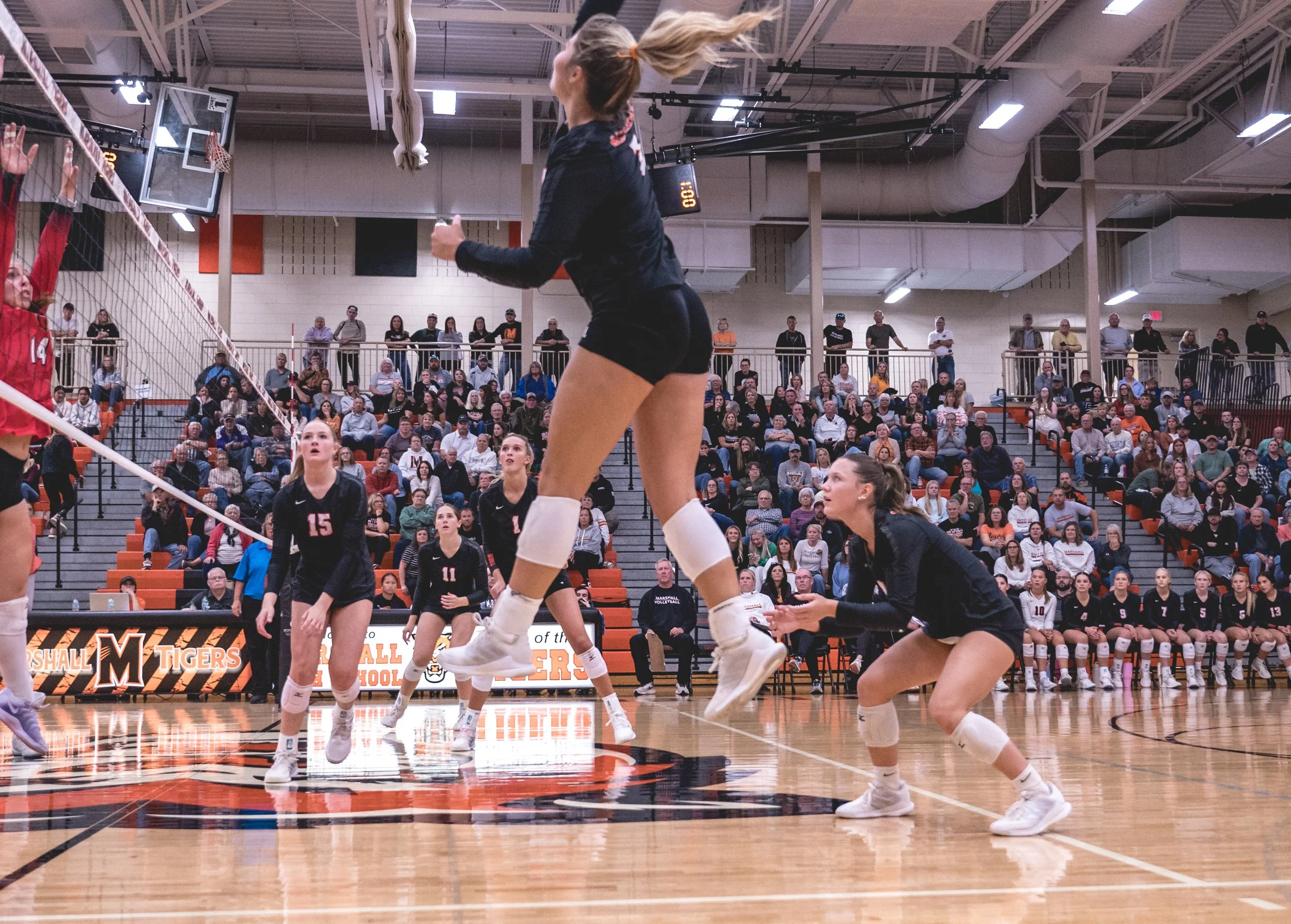 Tigers vs Alex (248).JPG