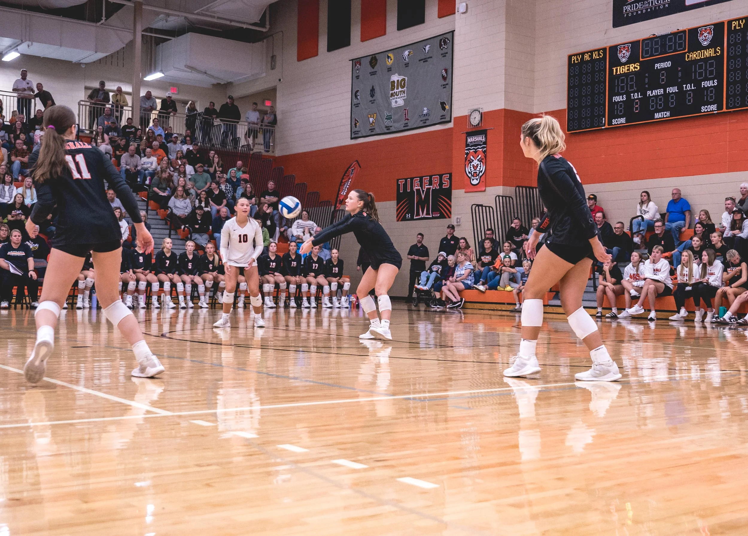 Tigers vs Alex (251).JPG