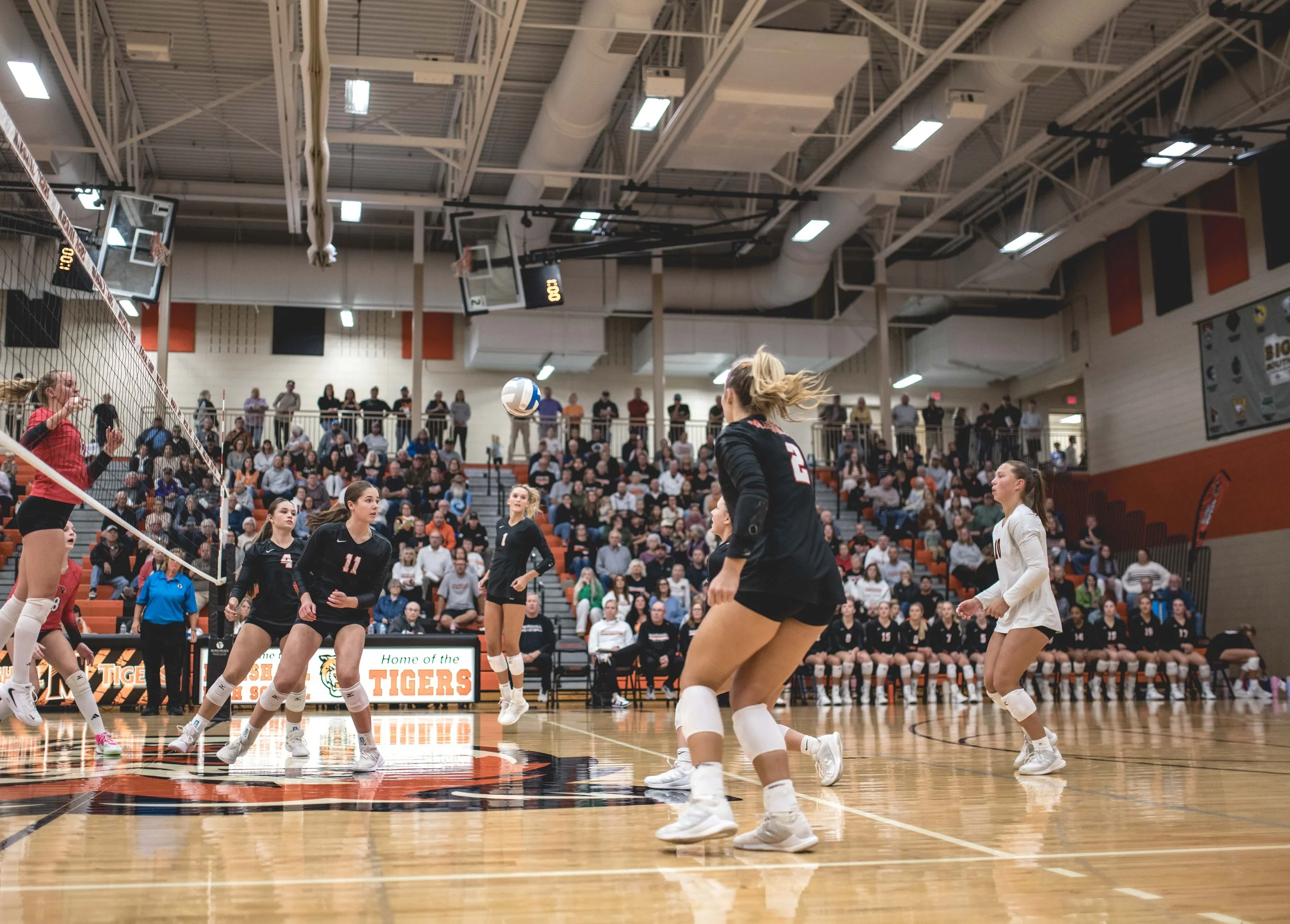 Tigers vs Alex (608).JPG