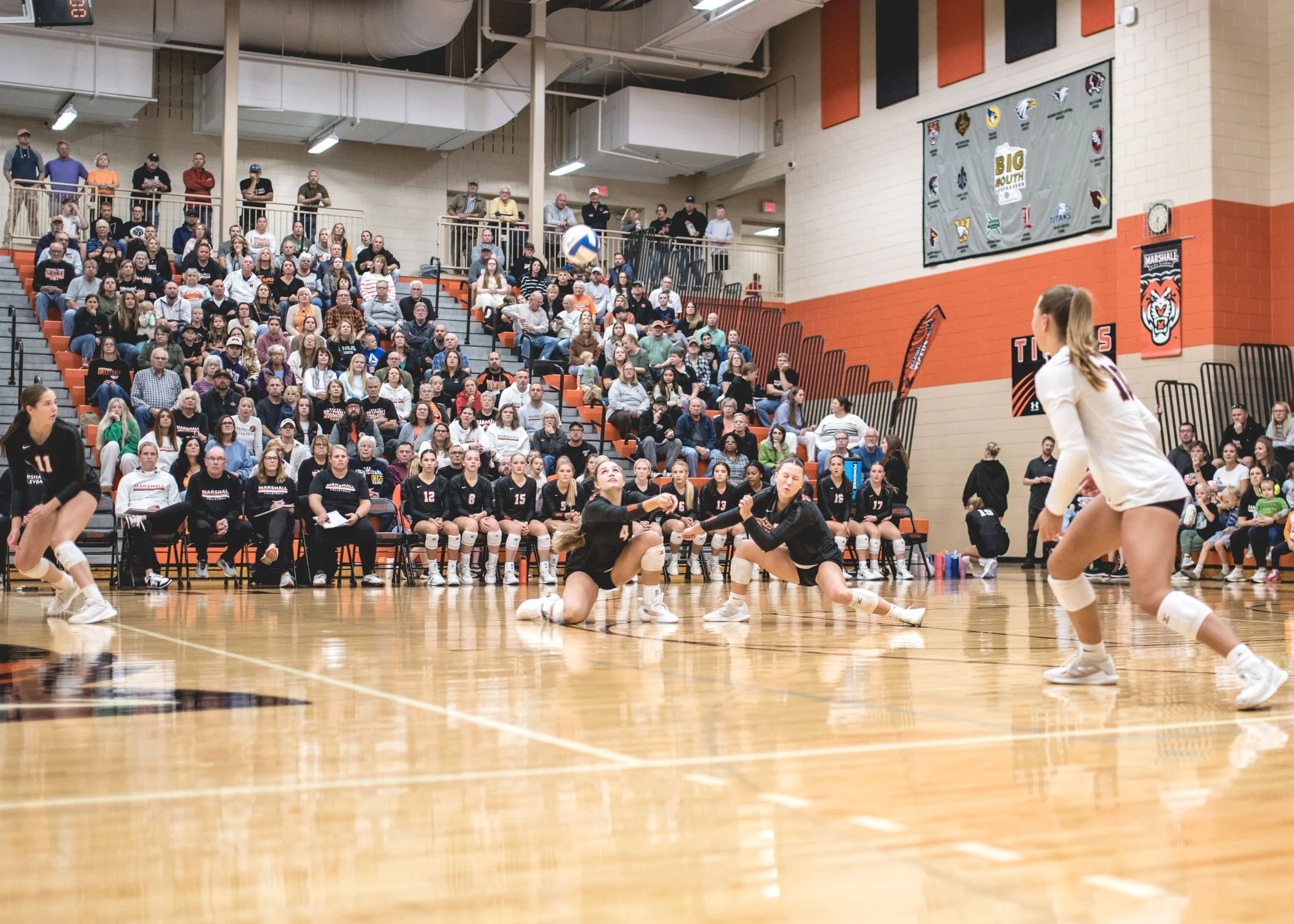 Tigers vs Alex (609).JPG