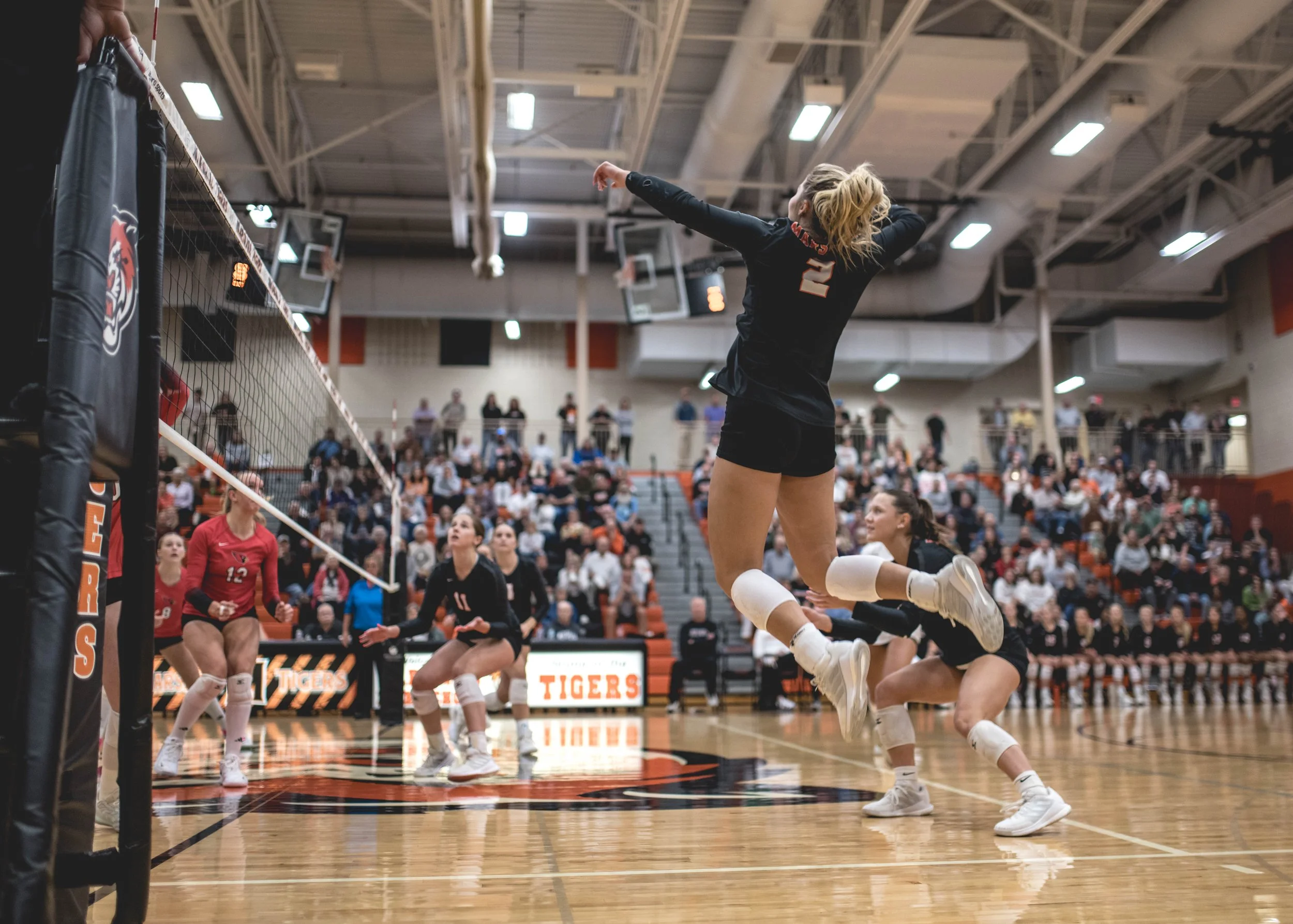 Tigers vs Alex (612).JPG