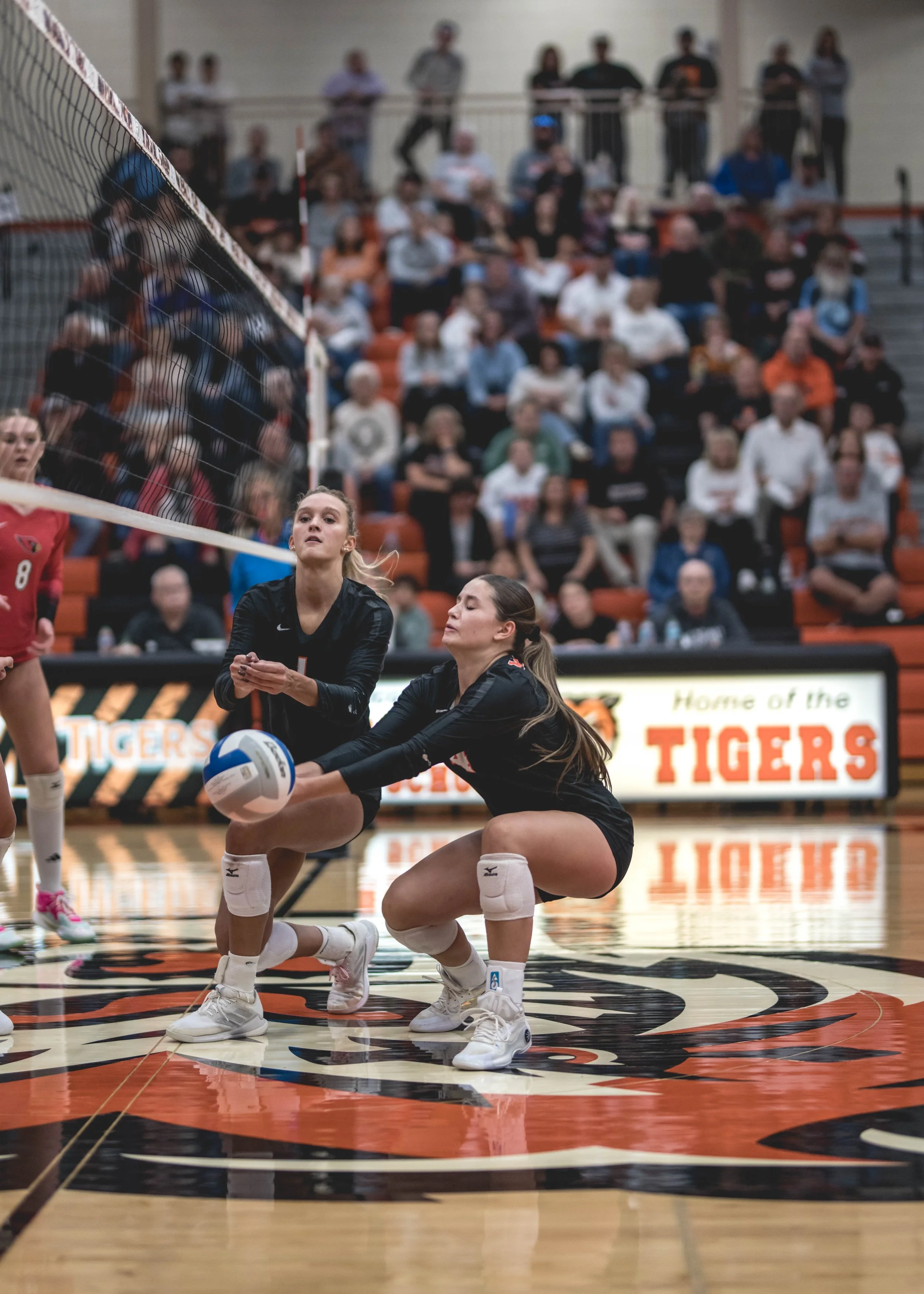 Tigers vs Alex (622).JPG