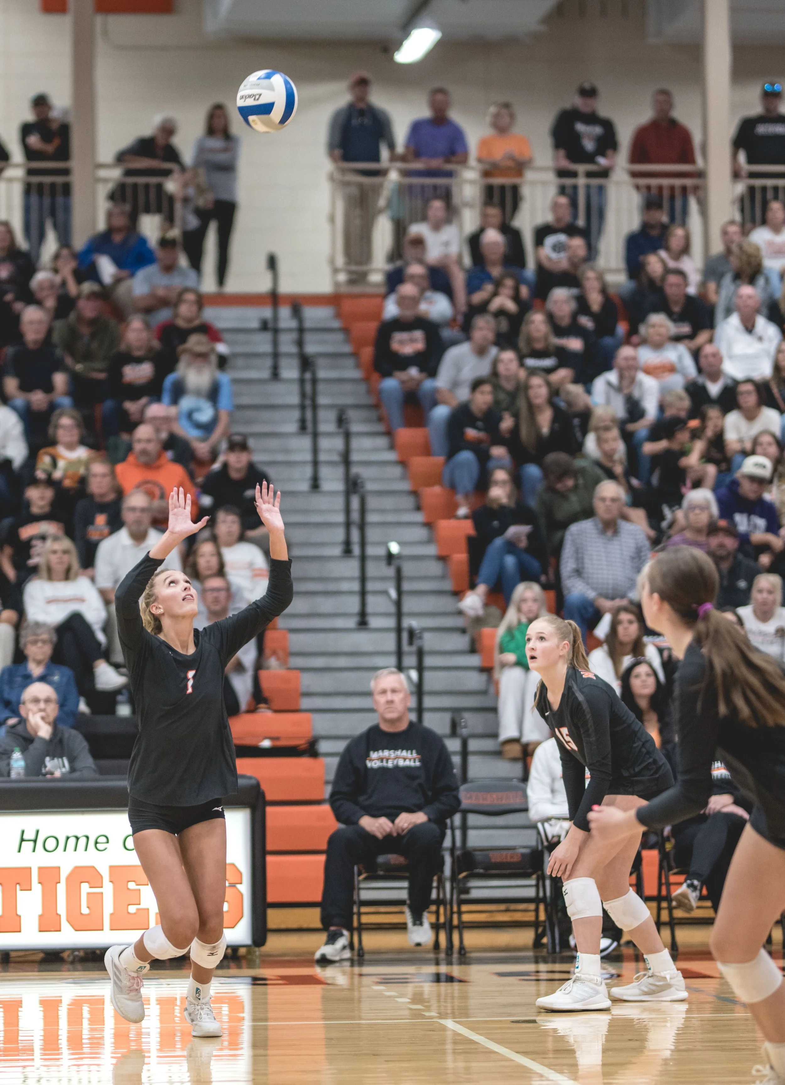 Tigers vs Alex (641).JPG