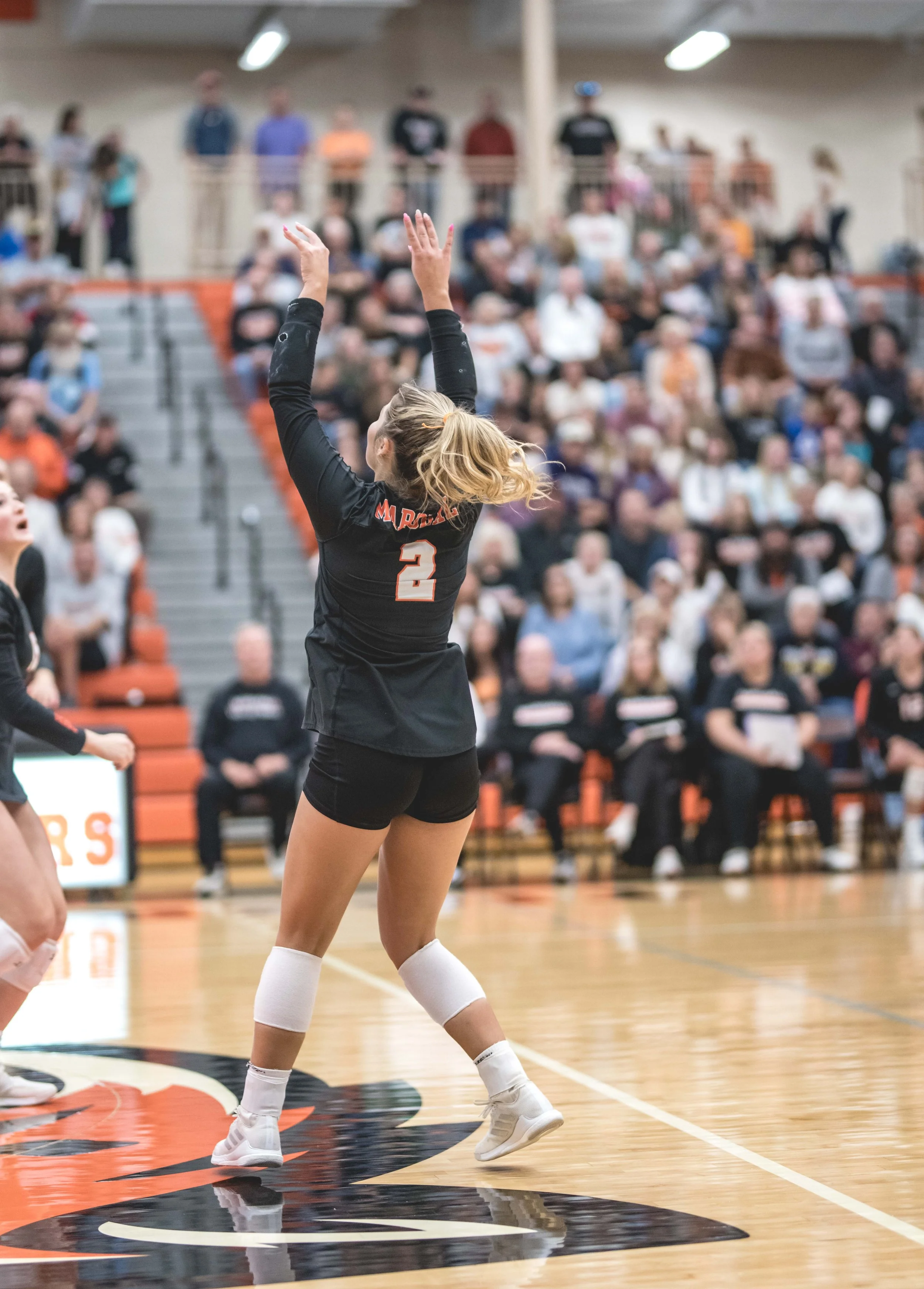 Tigers vs Alex (645).JPG