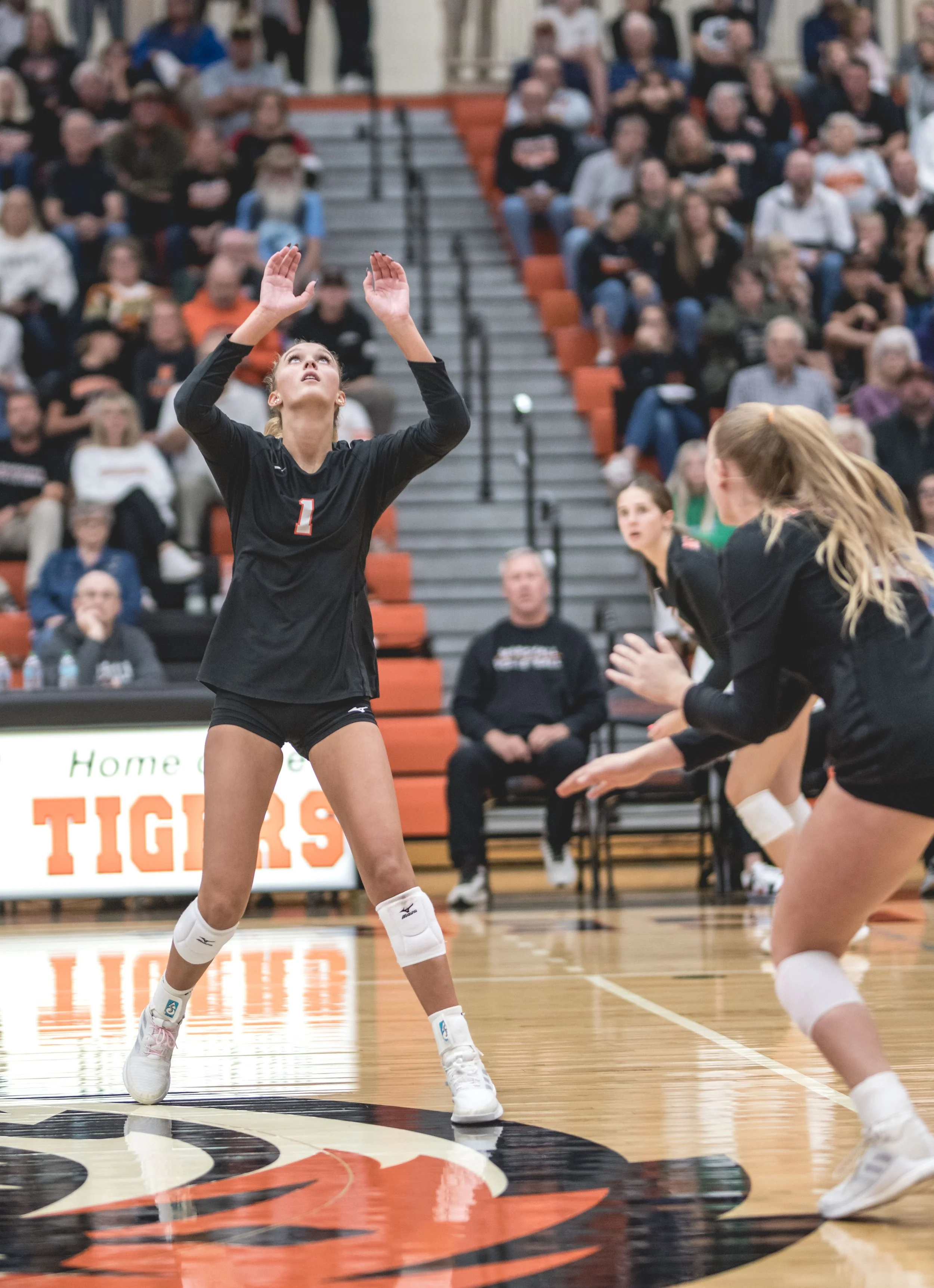 Tigers vs Alex (646).JPG