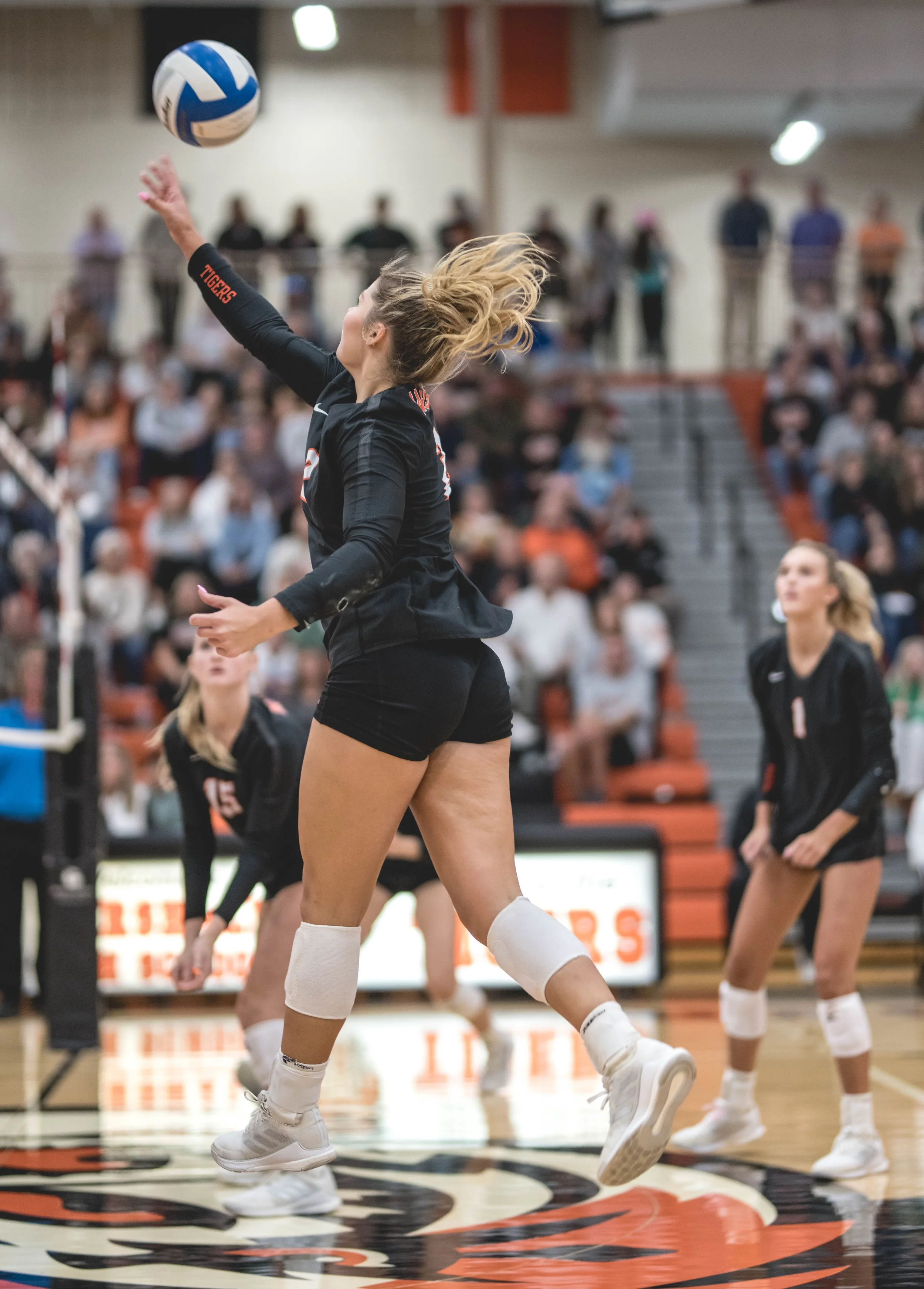 Tigers vs Alex (647).JPG