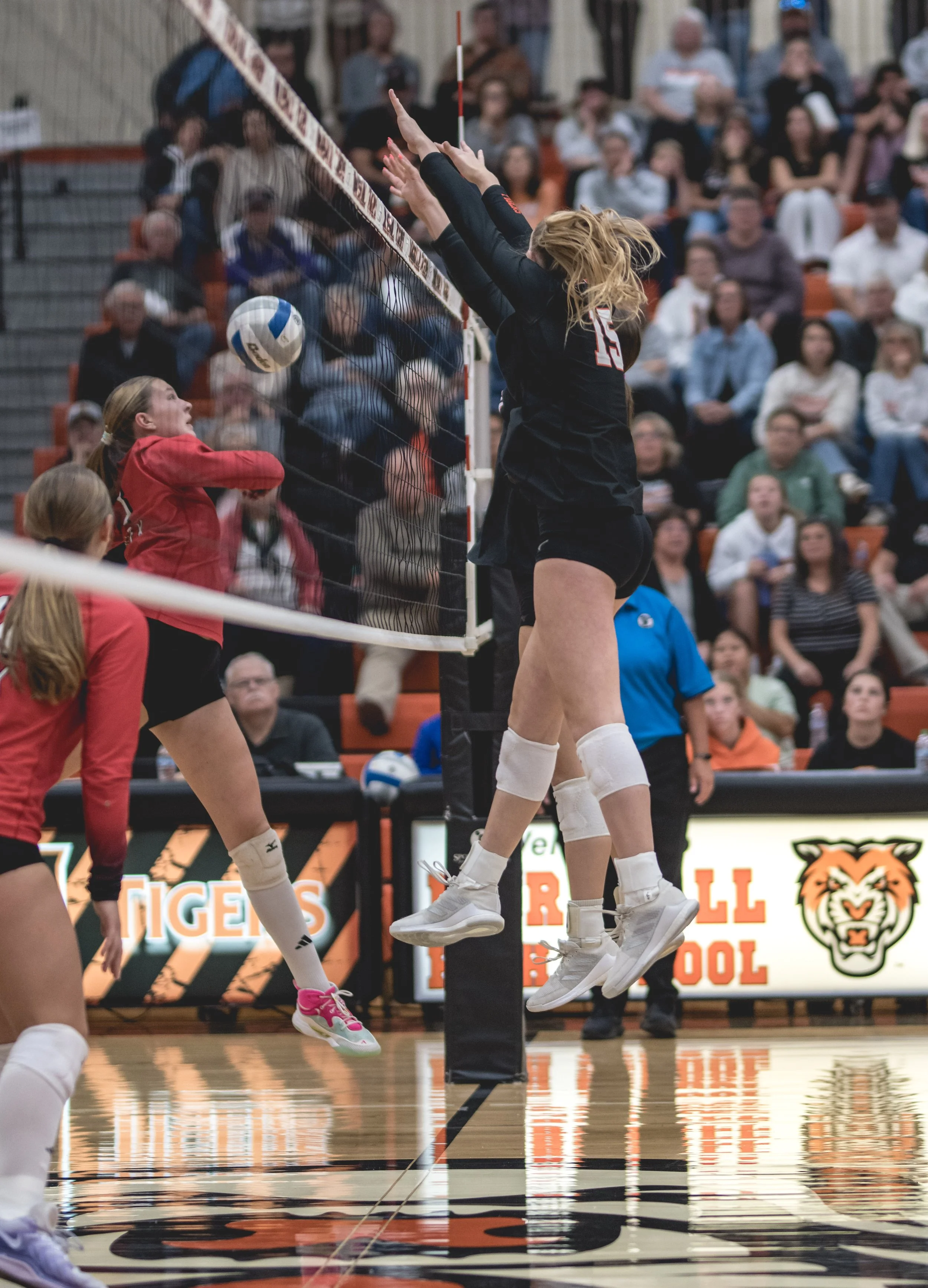 Tigers vs Alex (648).JPG