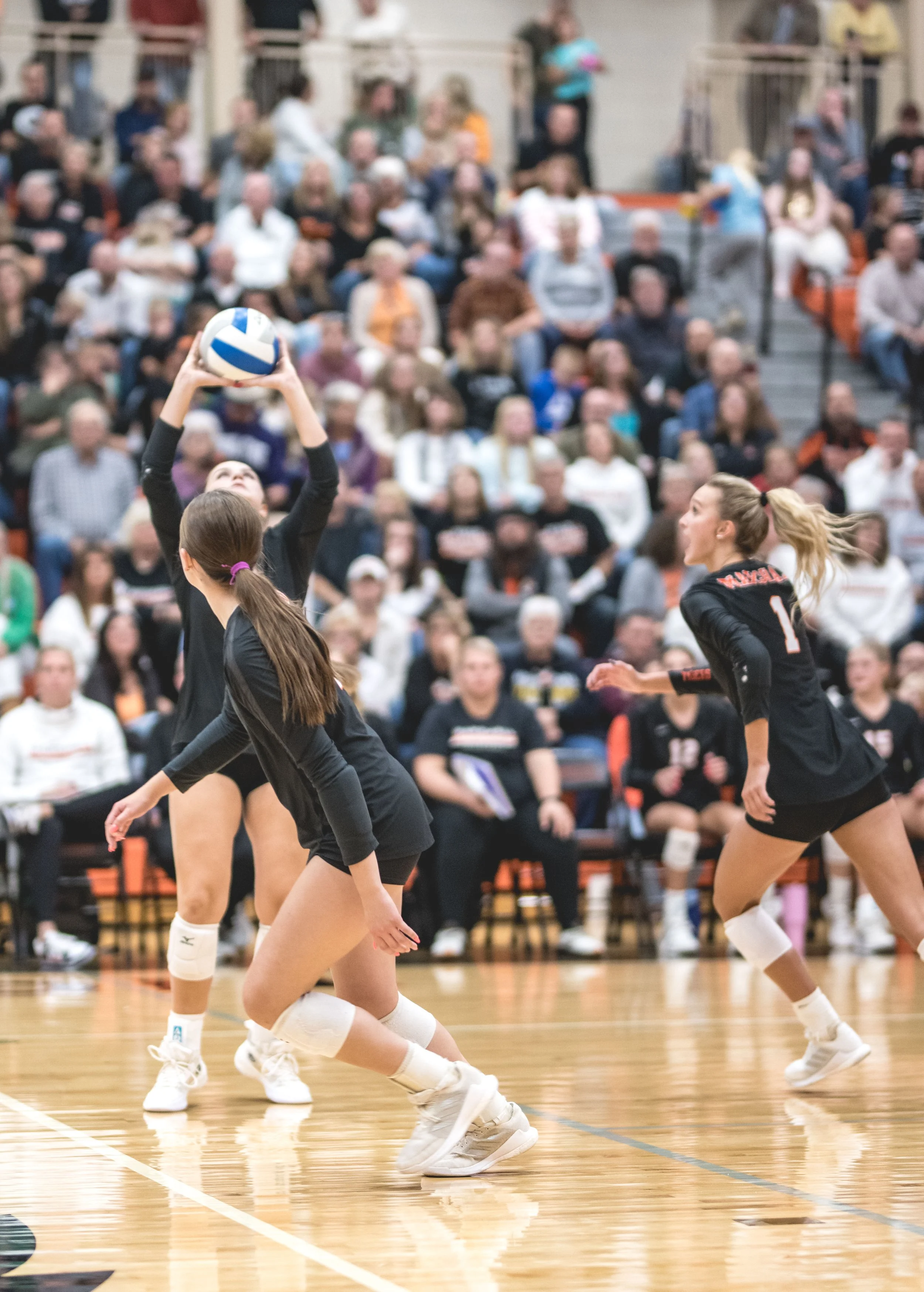 Tigers vs Alex (652).JPG