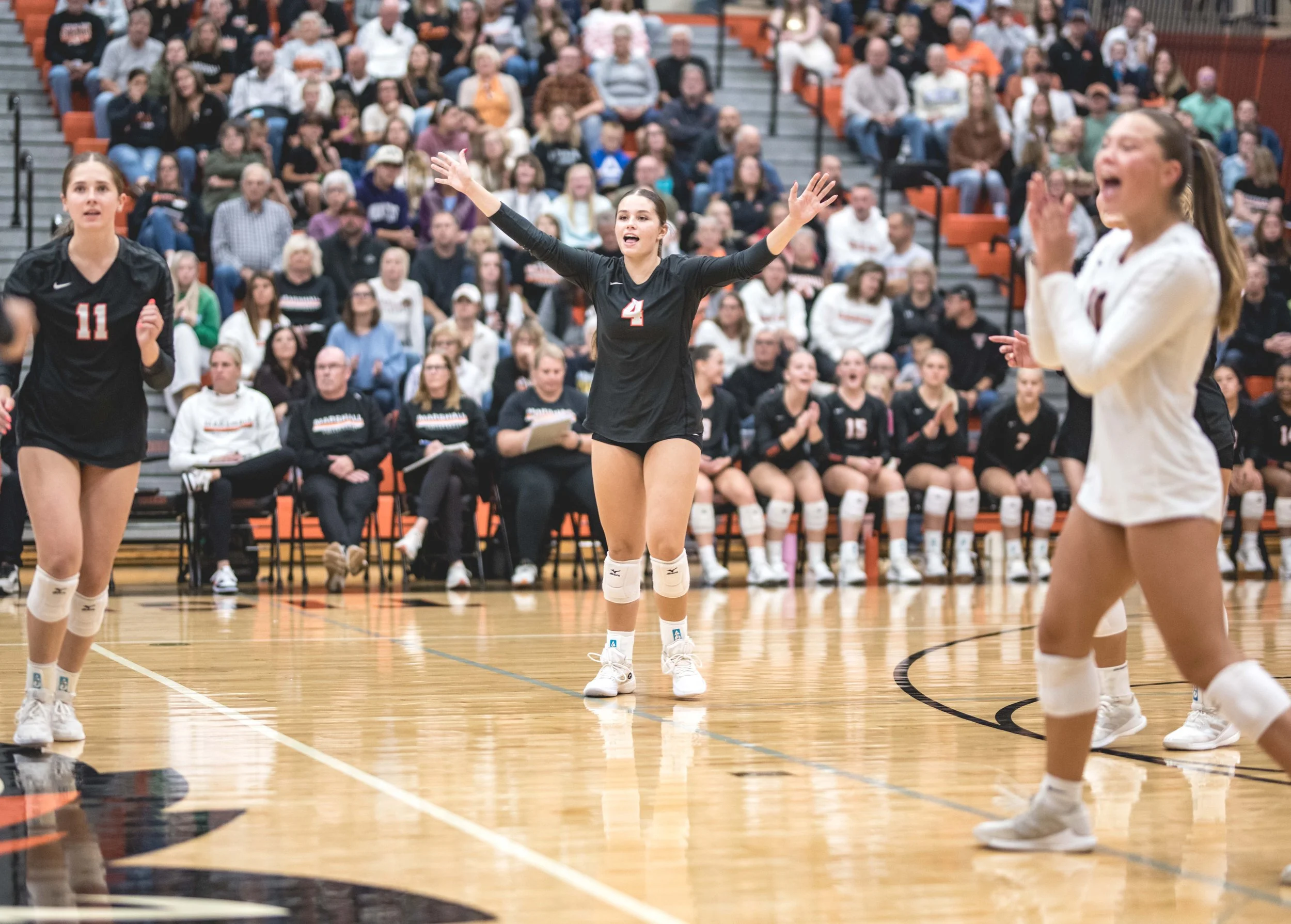 Tigers vs Alex (660).JPG