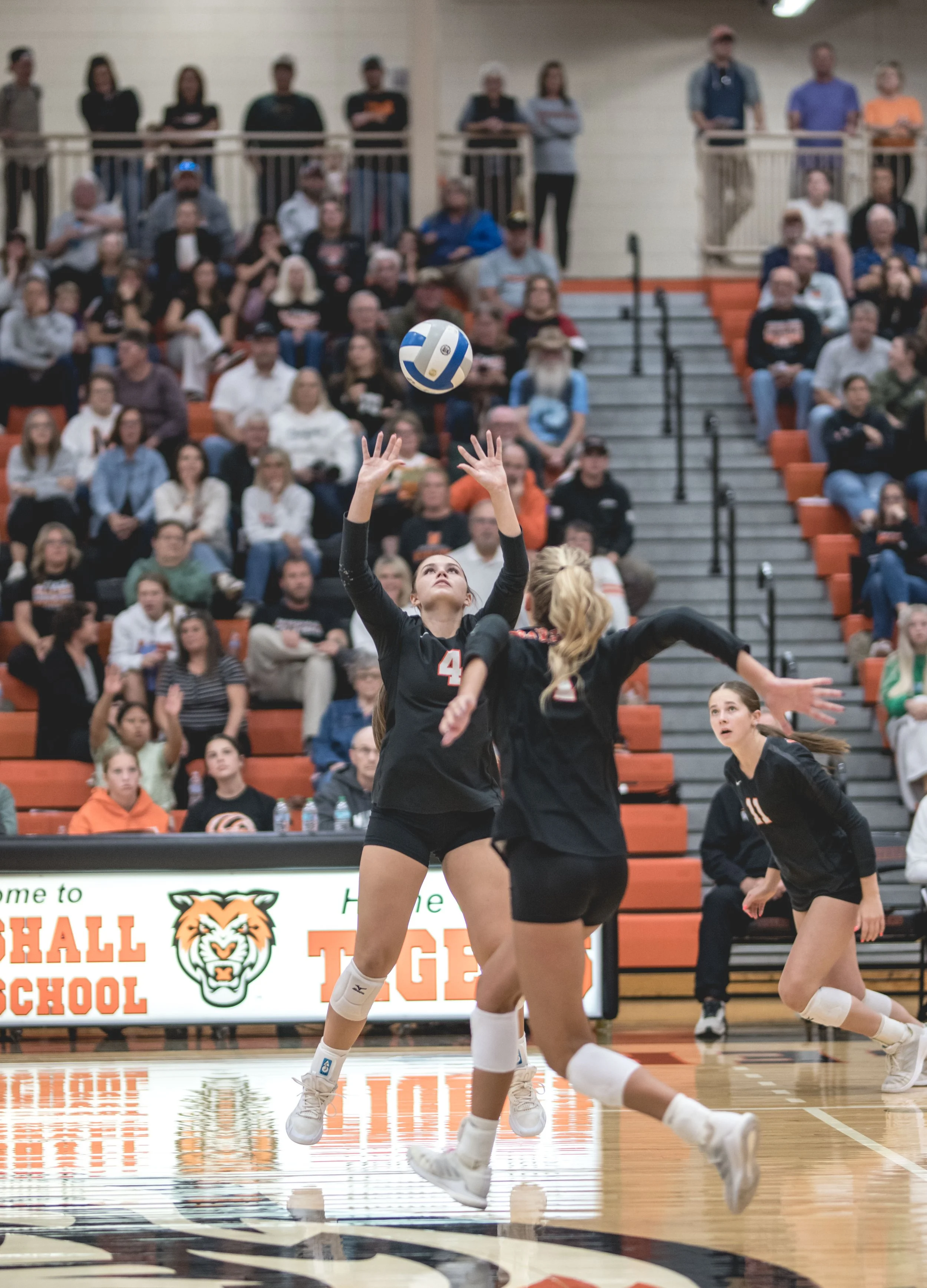 Tigers vs Alex (662).JPG