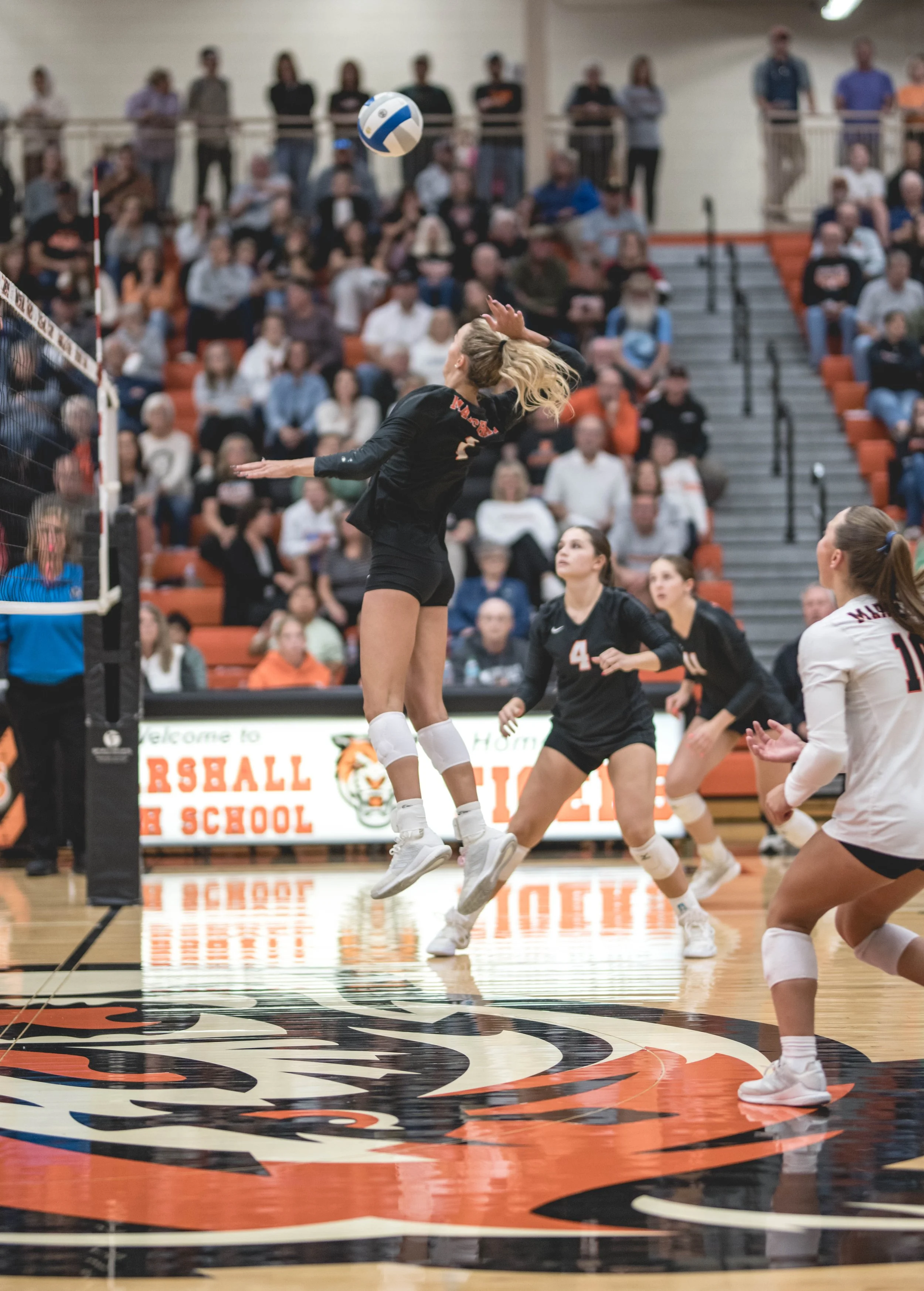 Tigers vs Alex (663).JPG