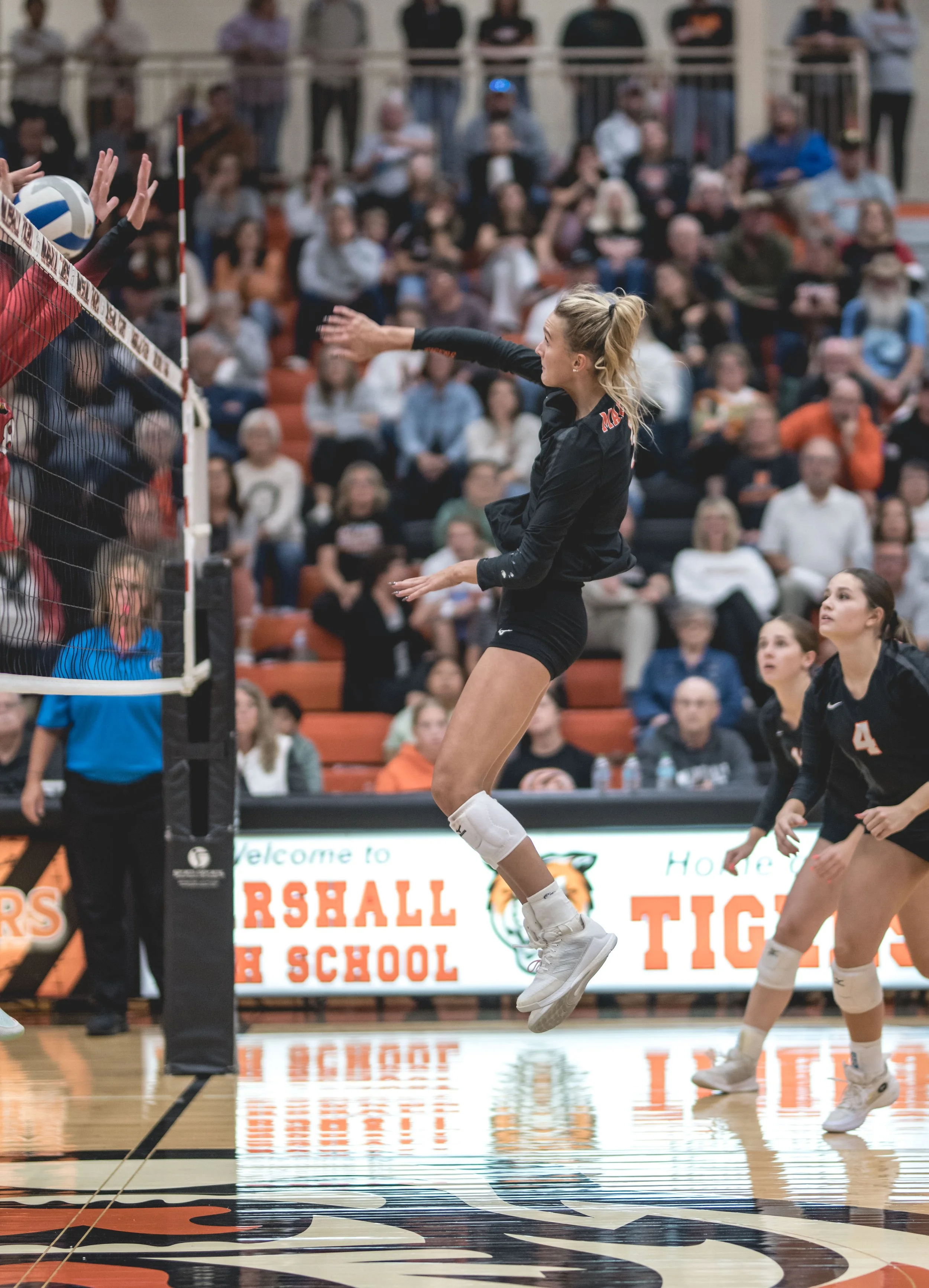 Tigers vs Alex (664).JPG