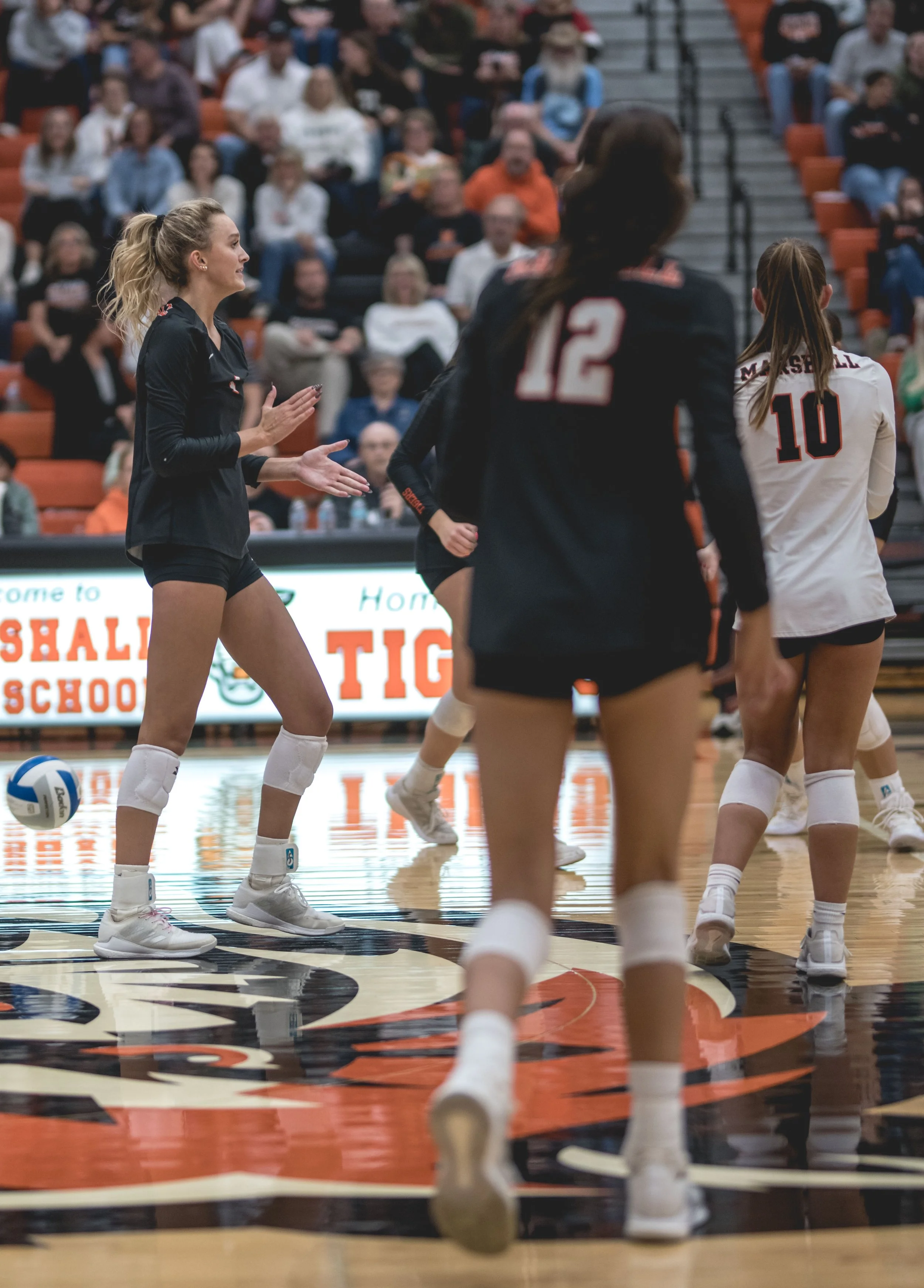 Tigers vs Alex (666).JPG