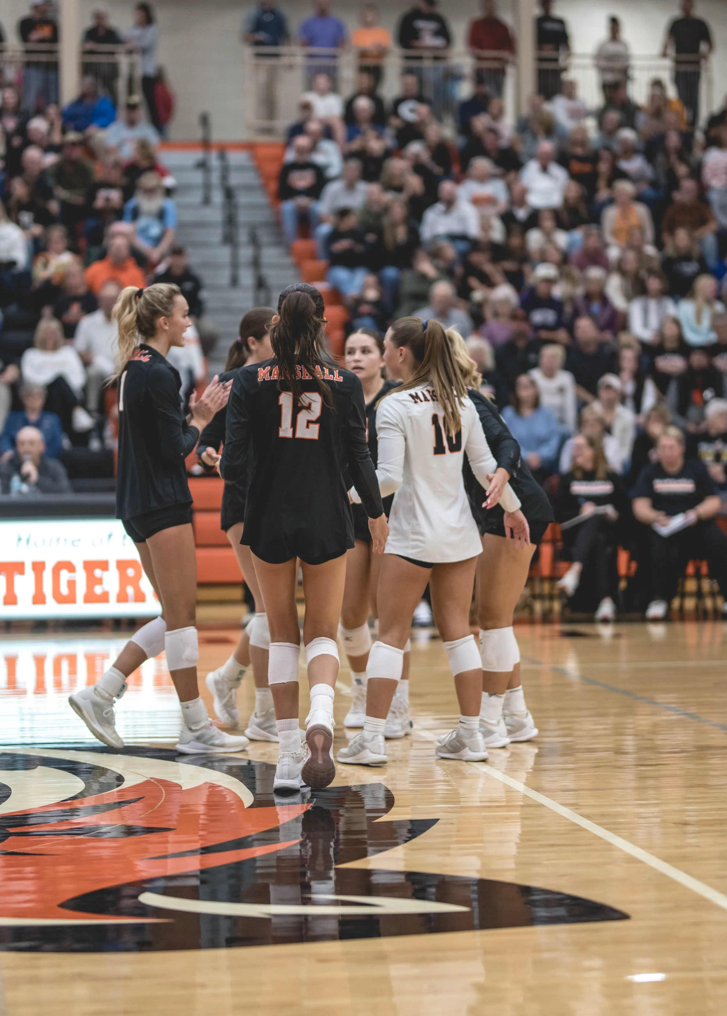 Tigers vs Alex (667).JPG