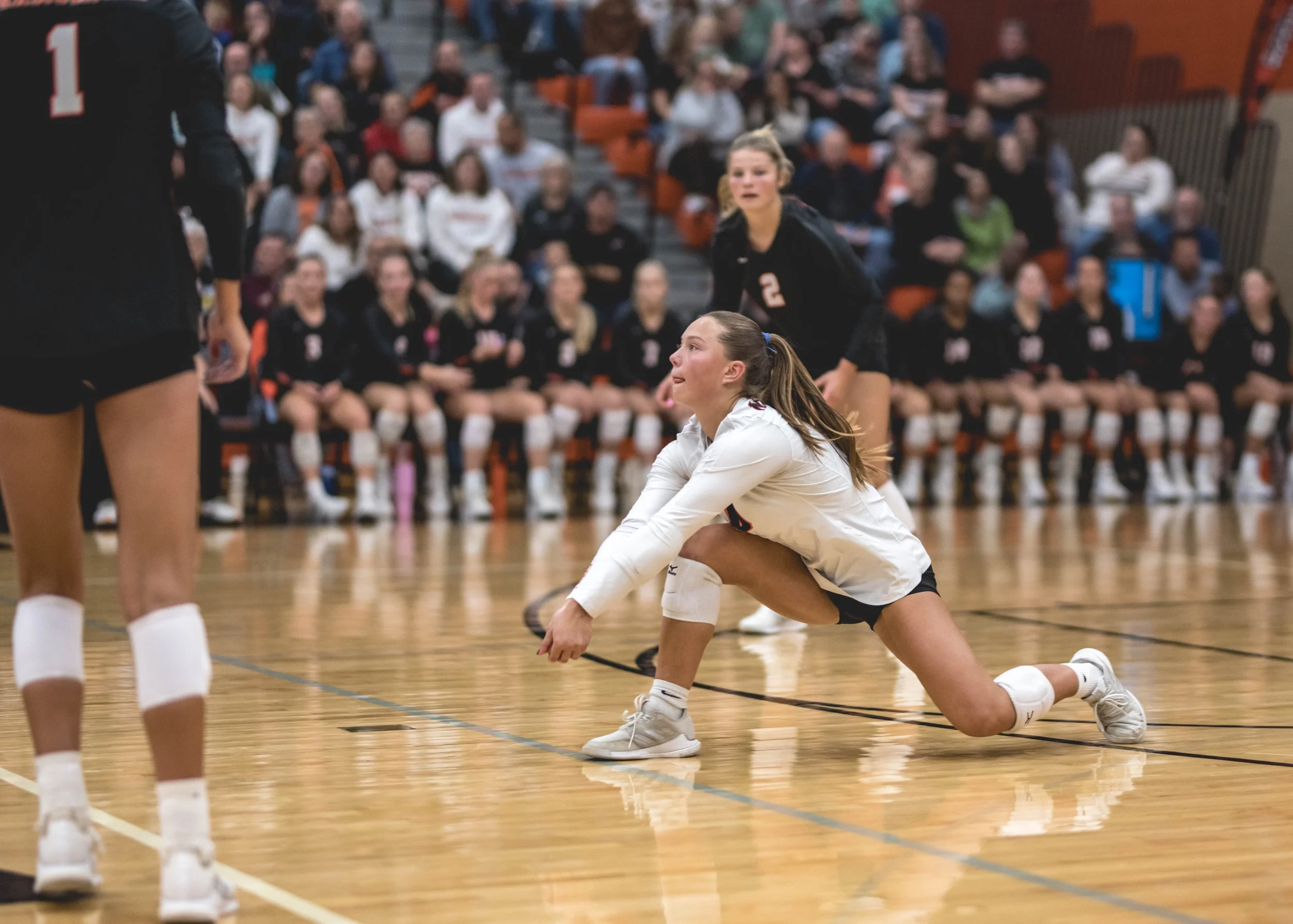 Tigers vs Alex (668).JPG