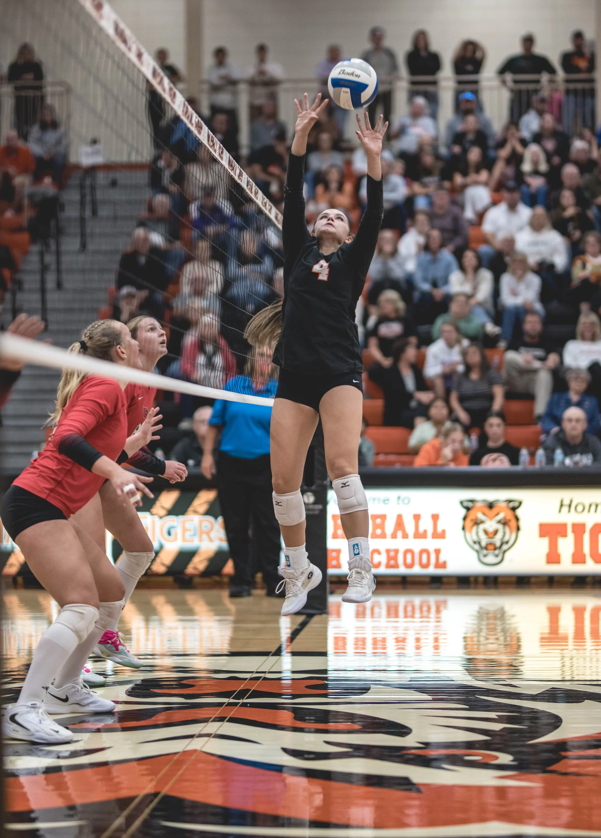 Tigers vs Alex (669).JPG