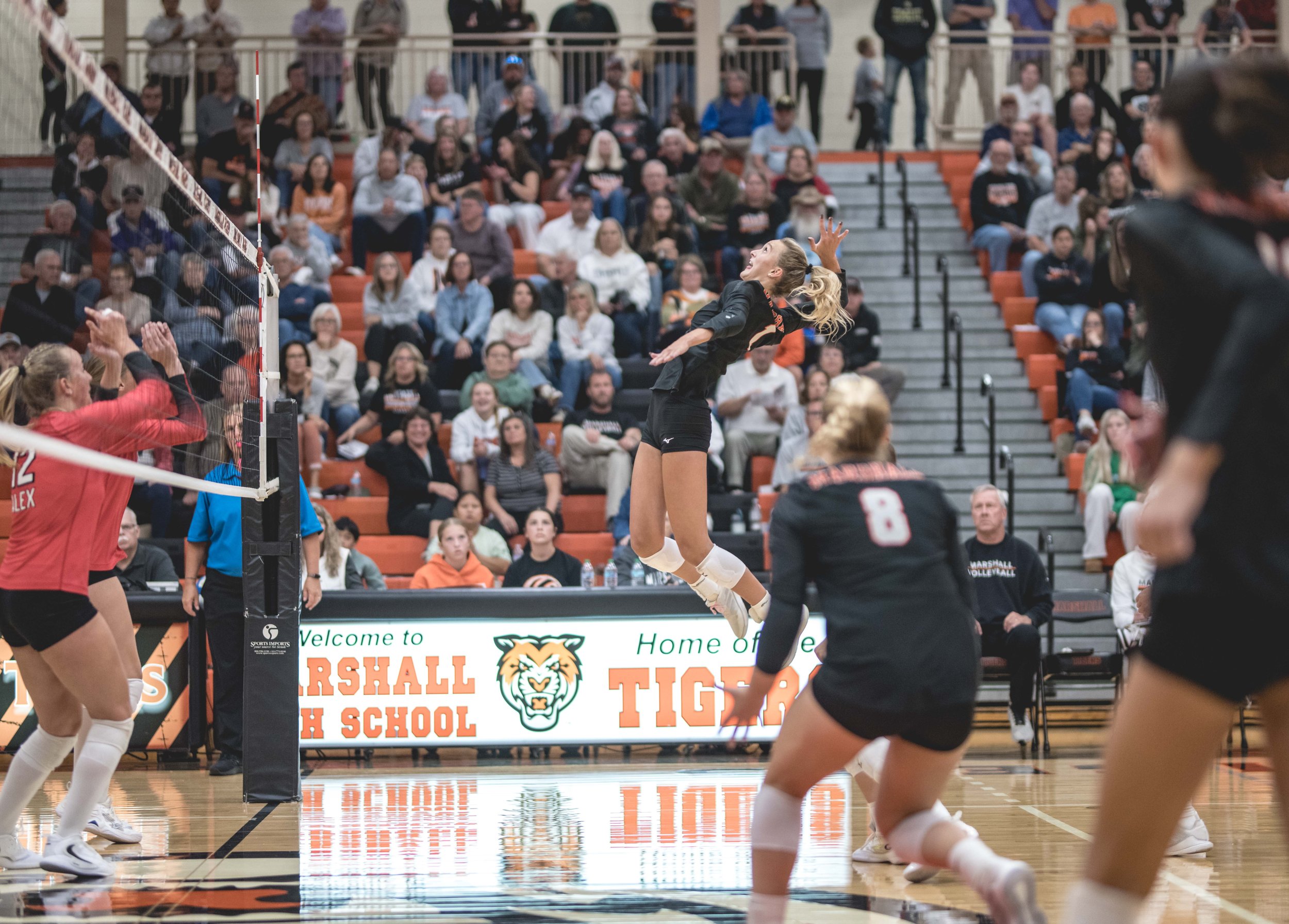 Tigers vs Alex (681).JPG