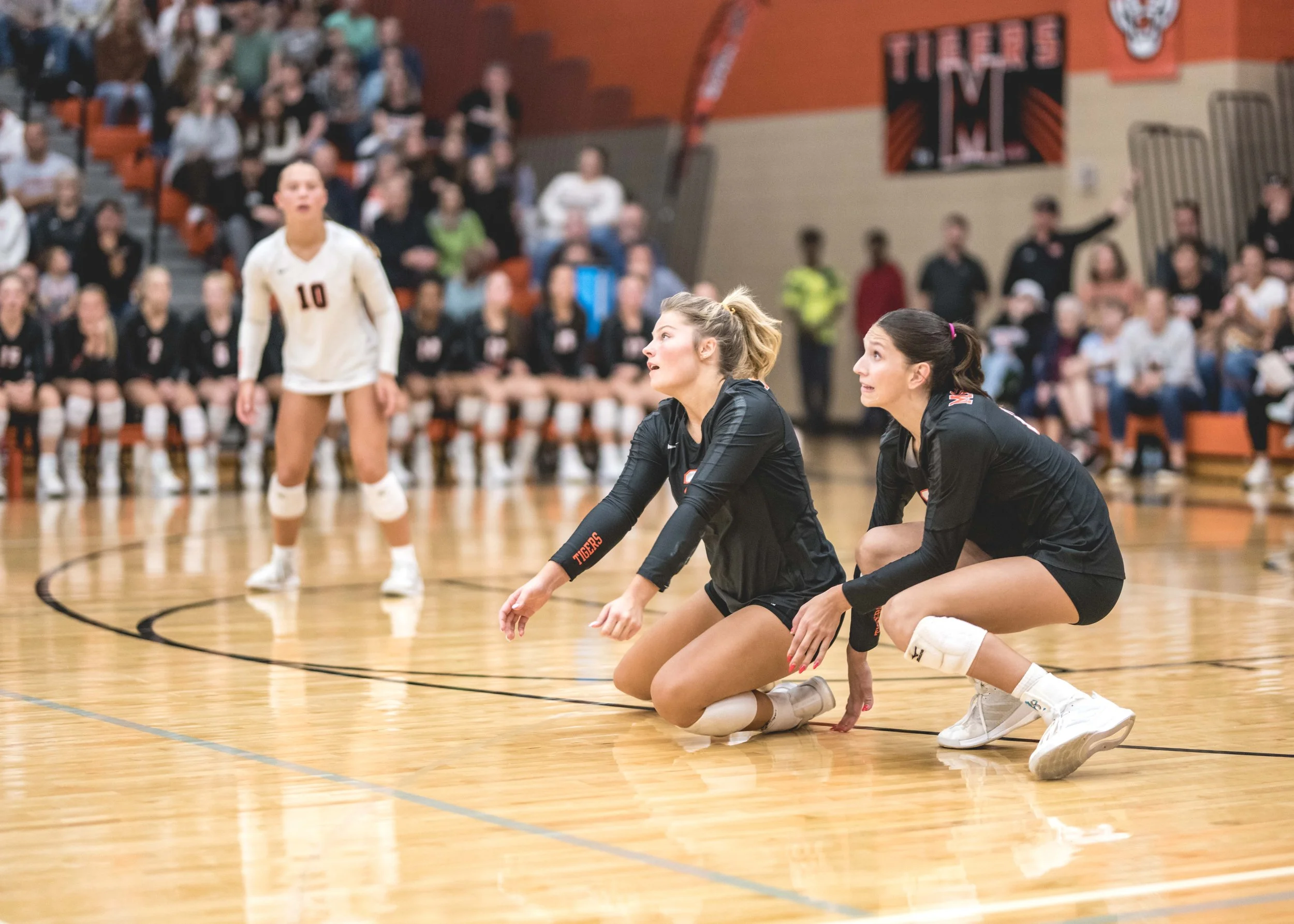 Tigers vs Alex (687).JPG