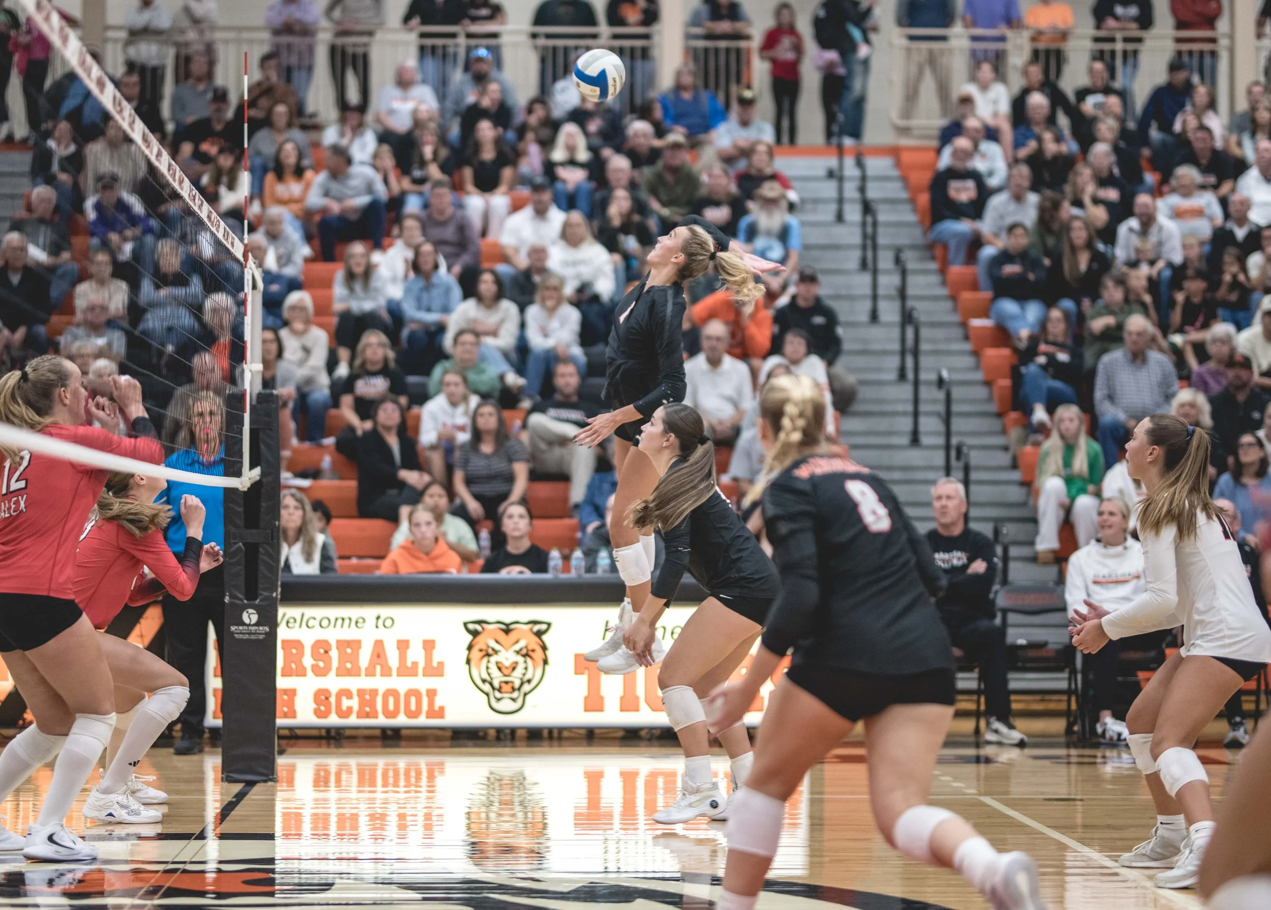 Tigers vs Alex (689).JPG