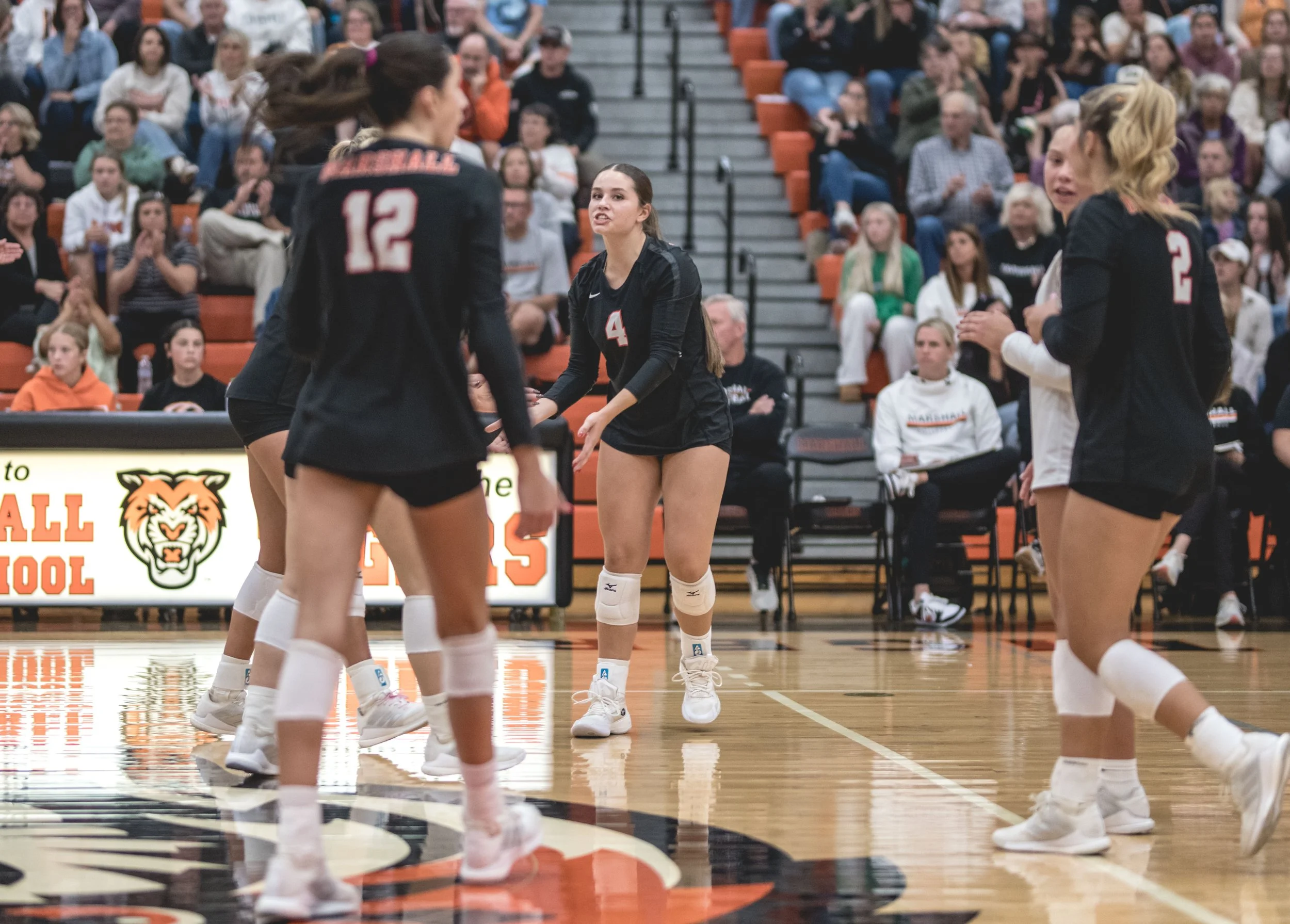 Tigers vs Alex (692).JPG