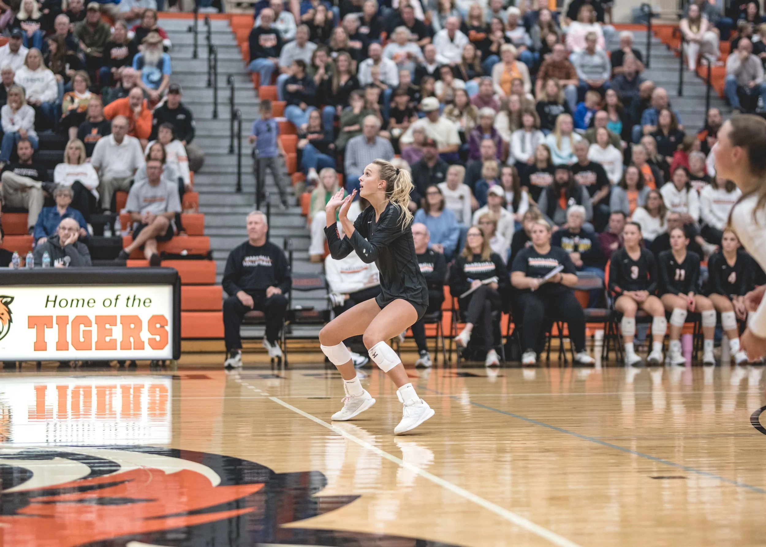 Tigers vs Alex (696).JPG