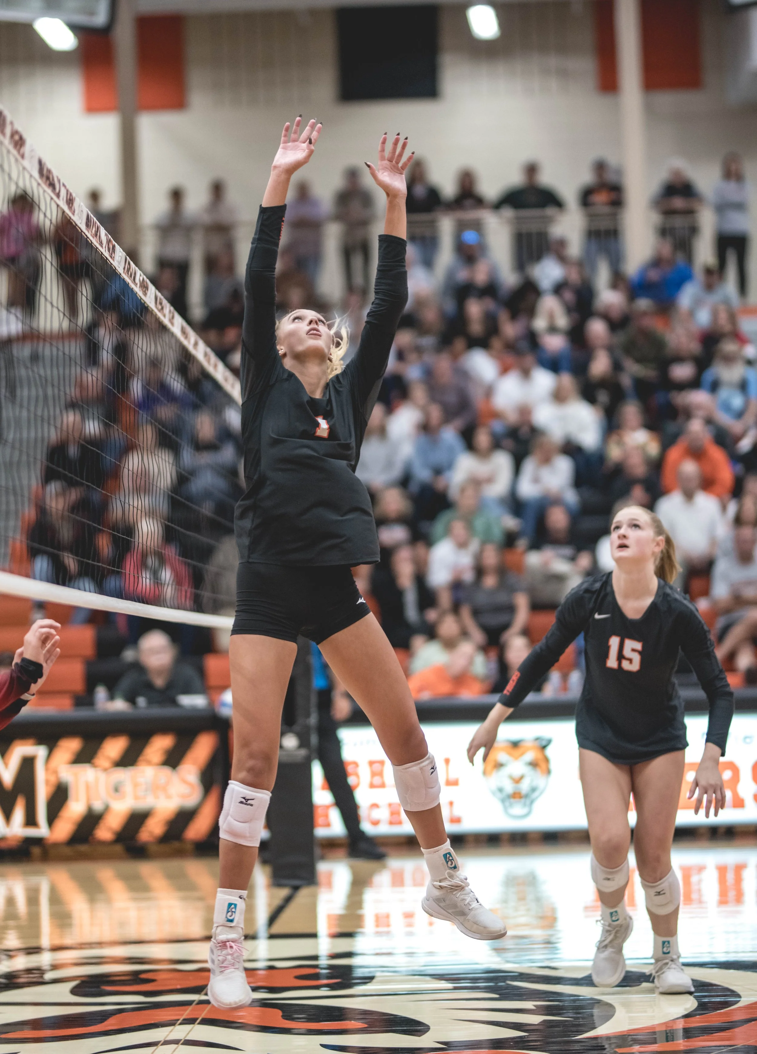 Tigers vs Alex (709).JPG