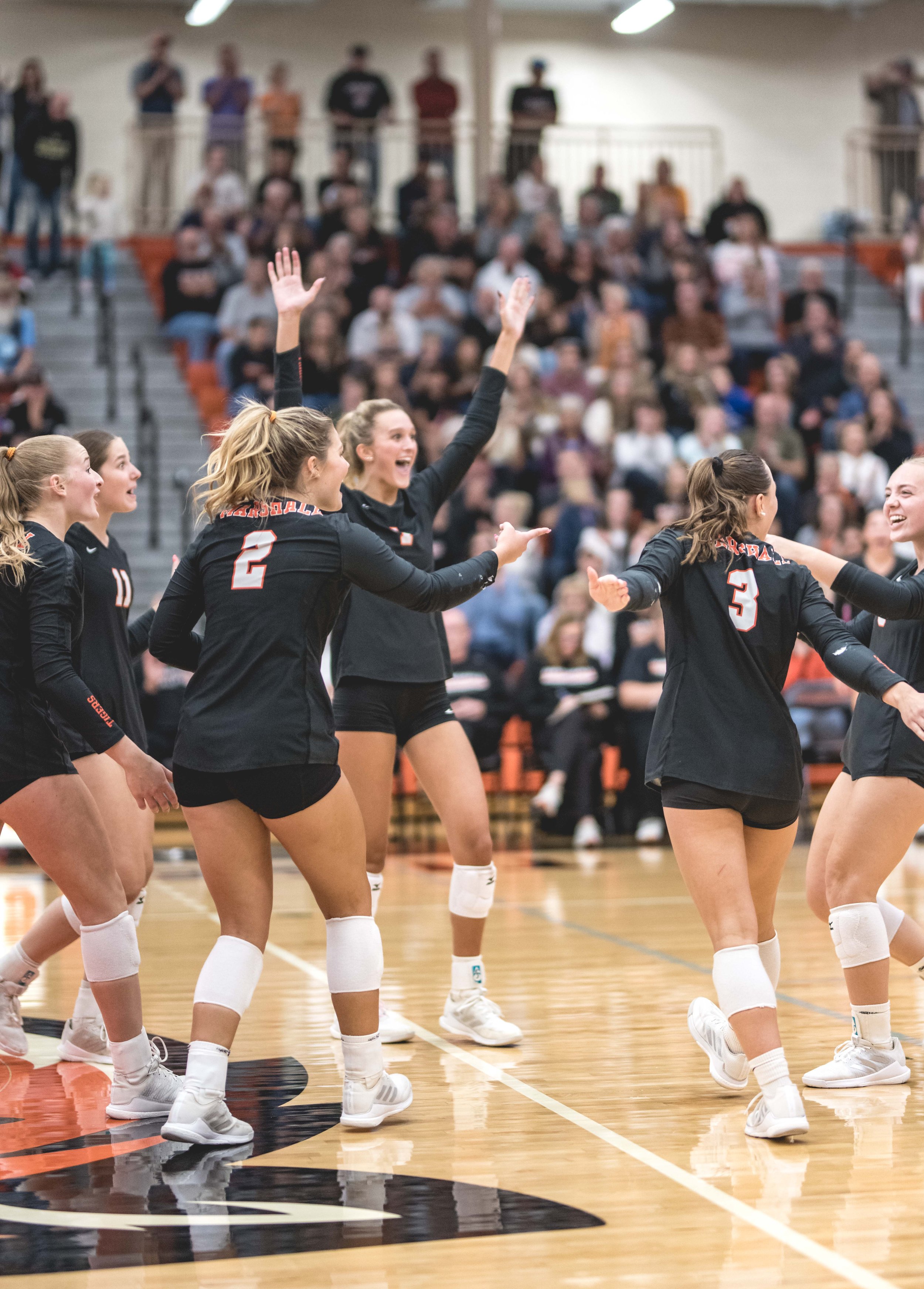 Tigers vs Alex (725).JPG