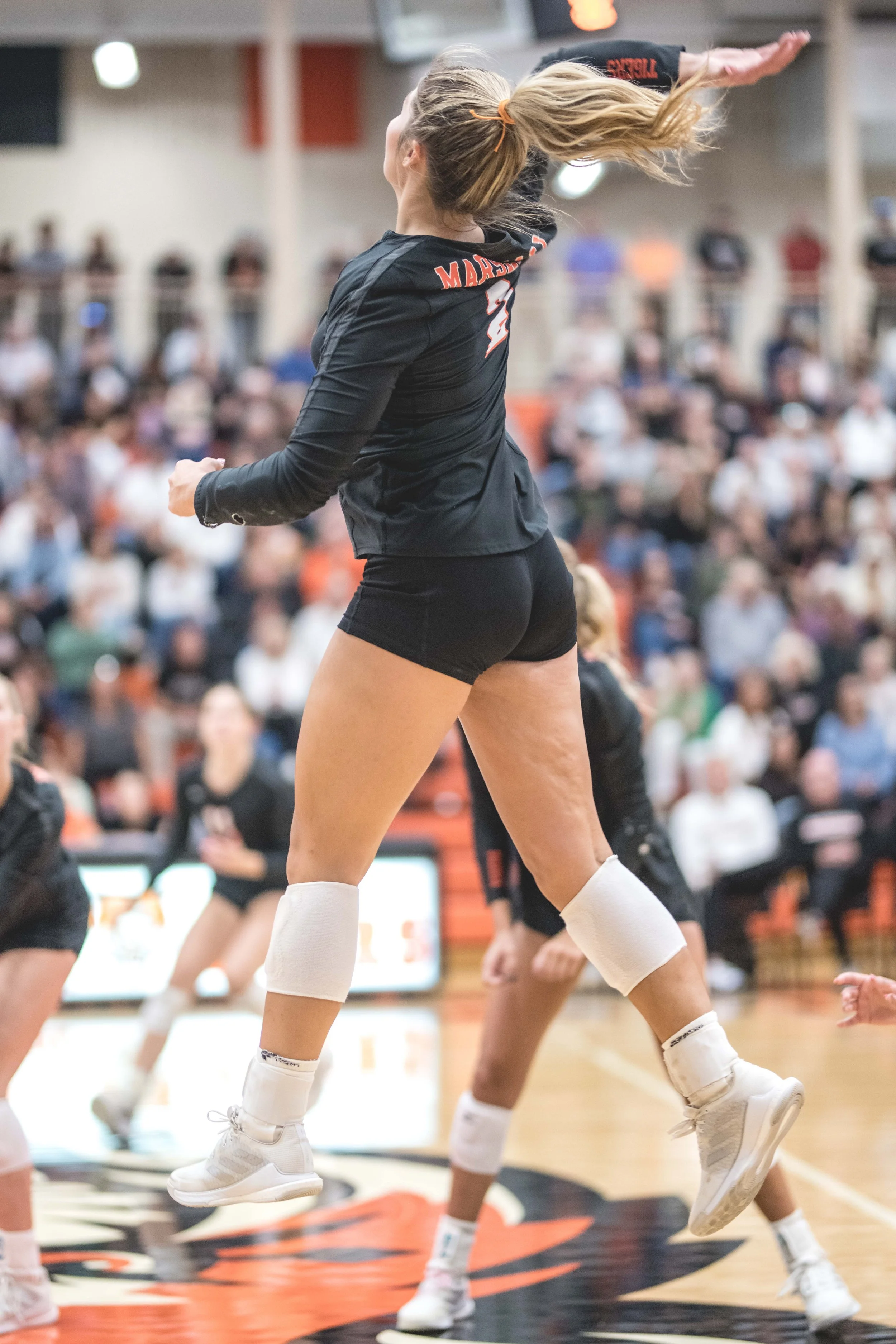 Tigers vs Alex (730).JPG