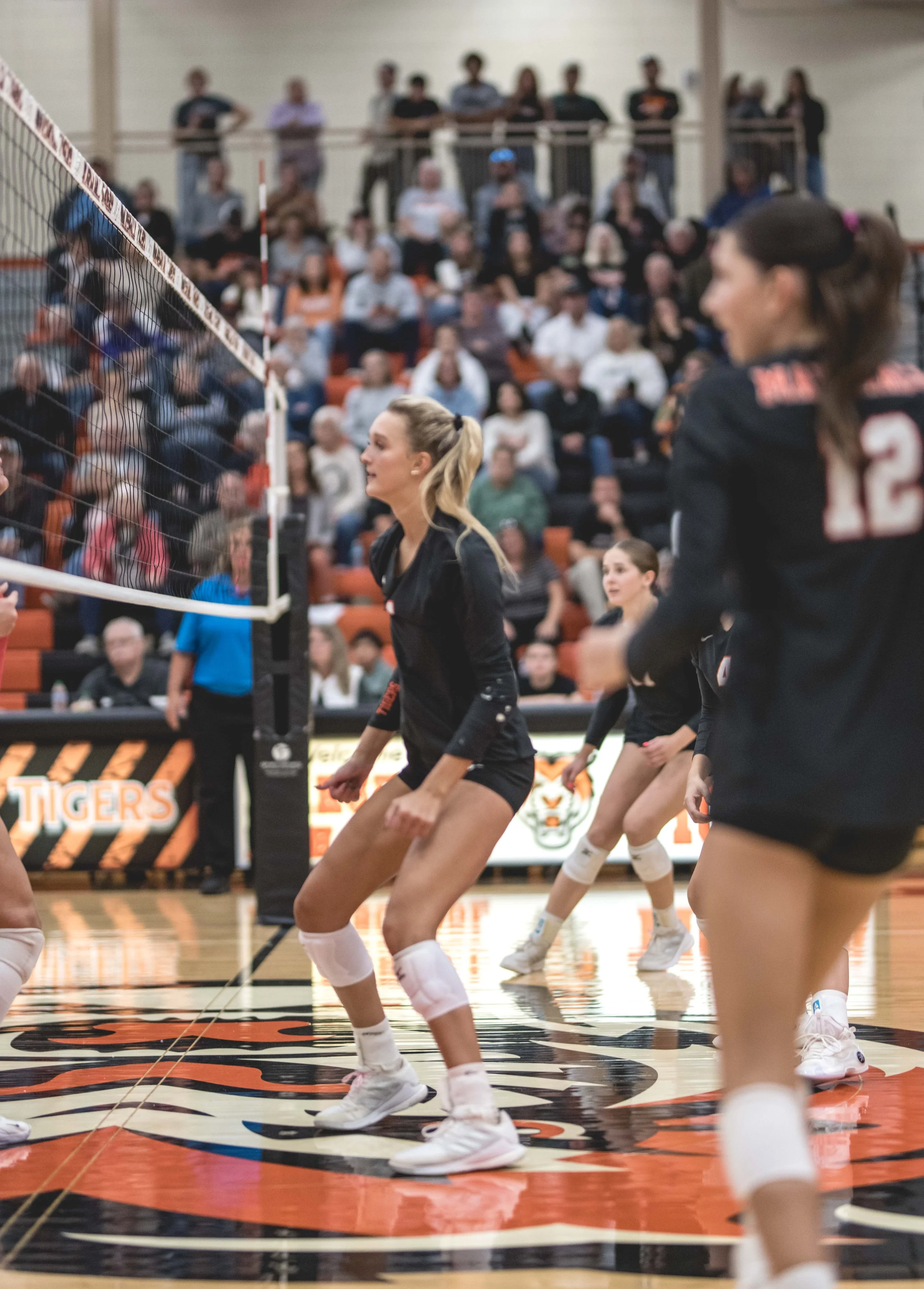 Tigers vs Alex (748).JPG