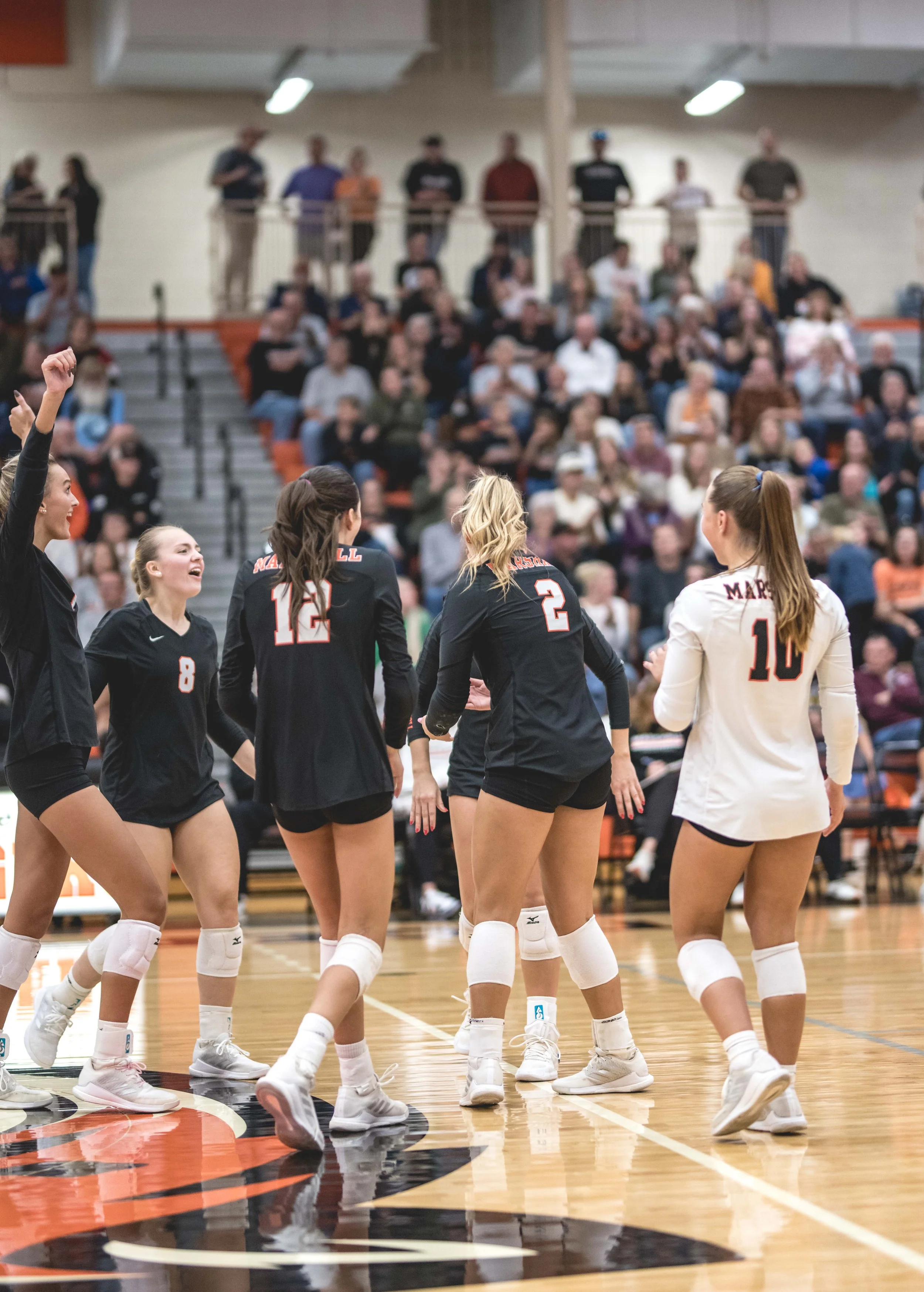 Tigers vs Alex (753).JPG