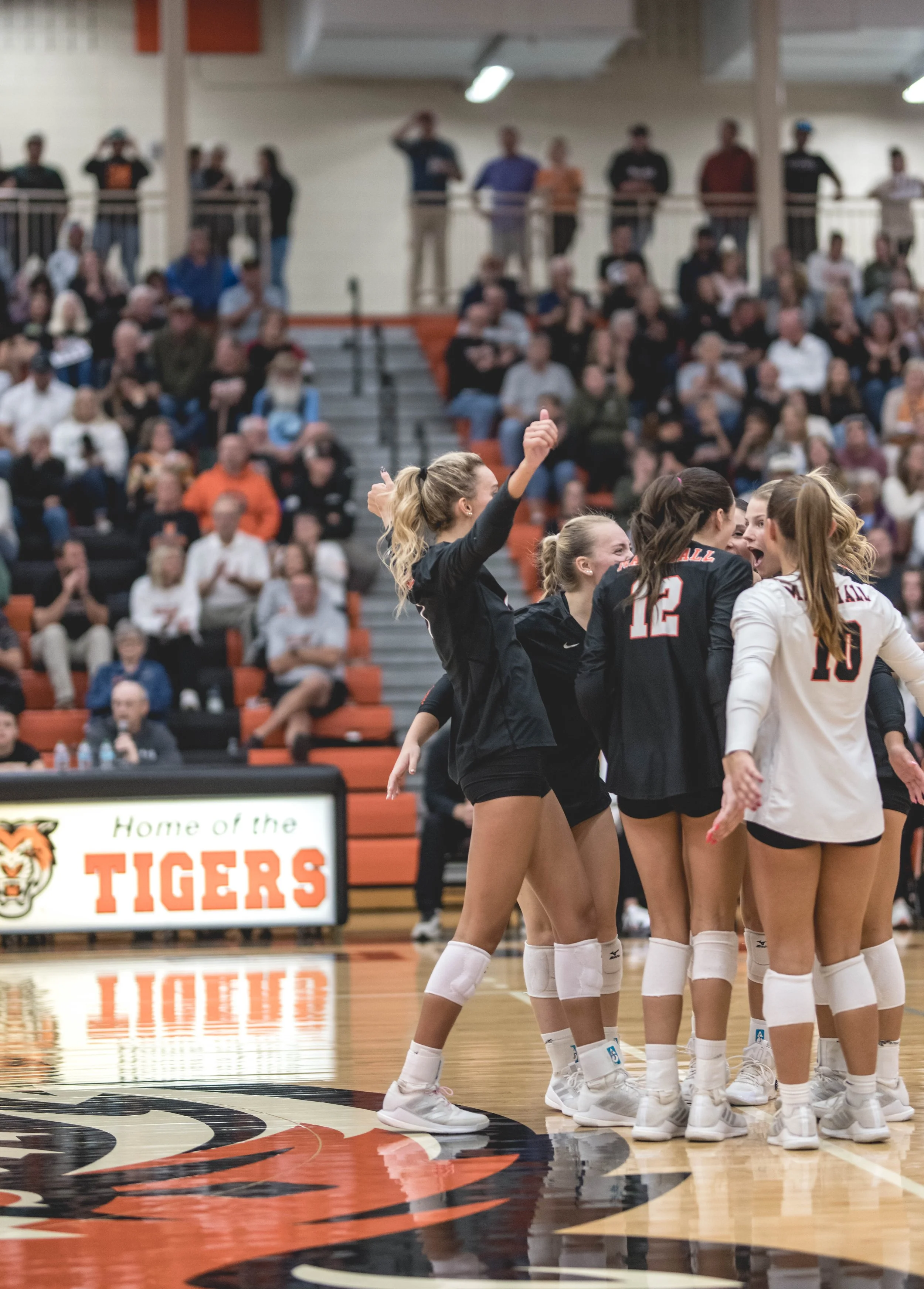 Tigers vs Alex (754).JPG