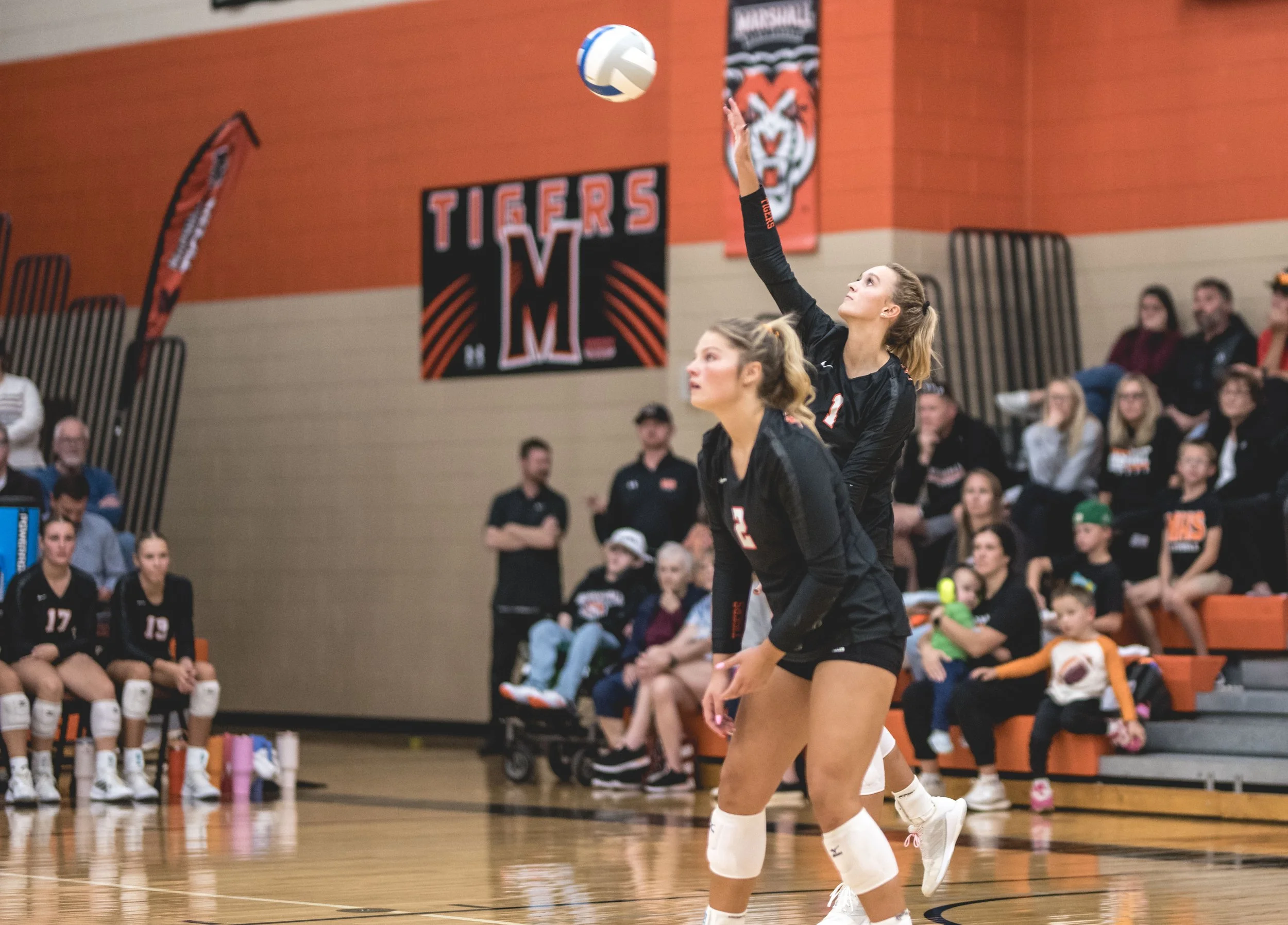 Tigers vs Alex (764).JPG