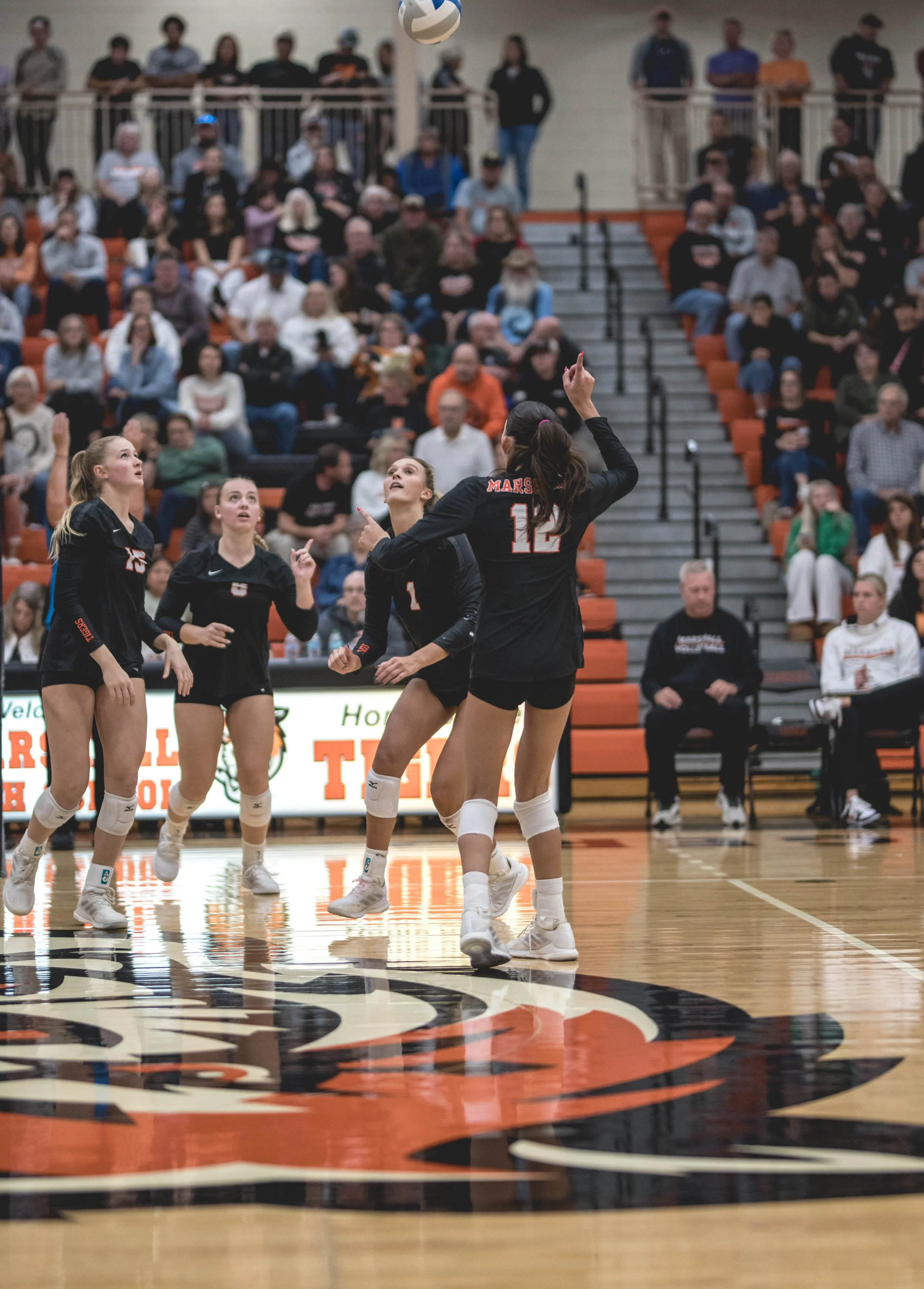 Tigers vs Alex (766).JPG