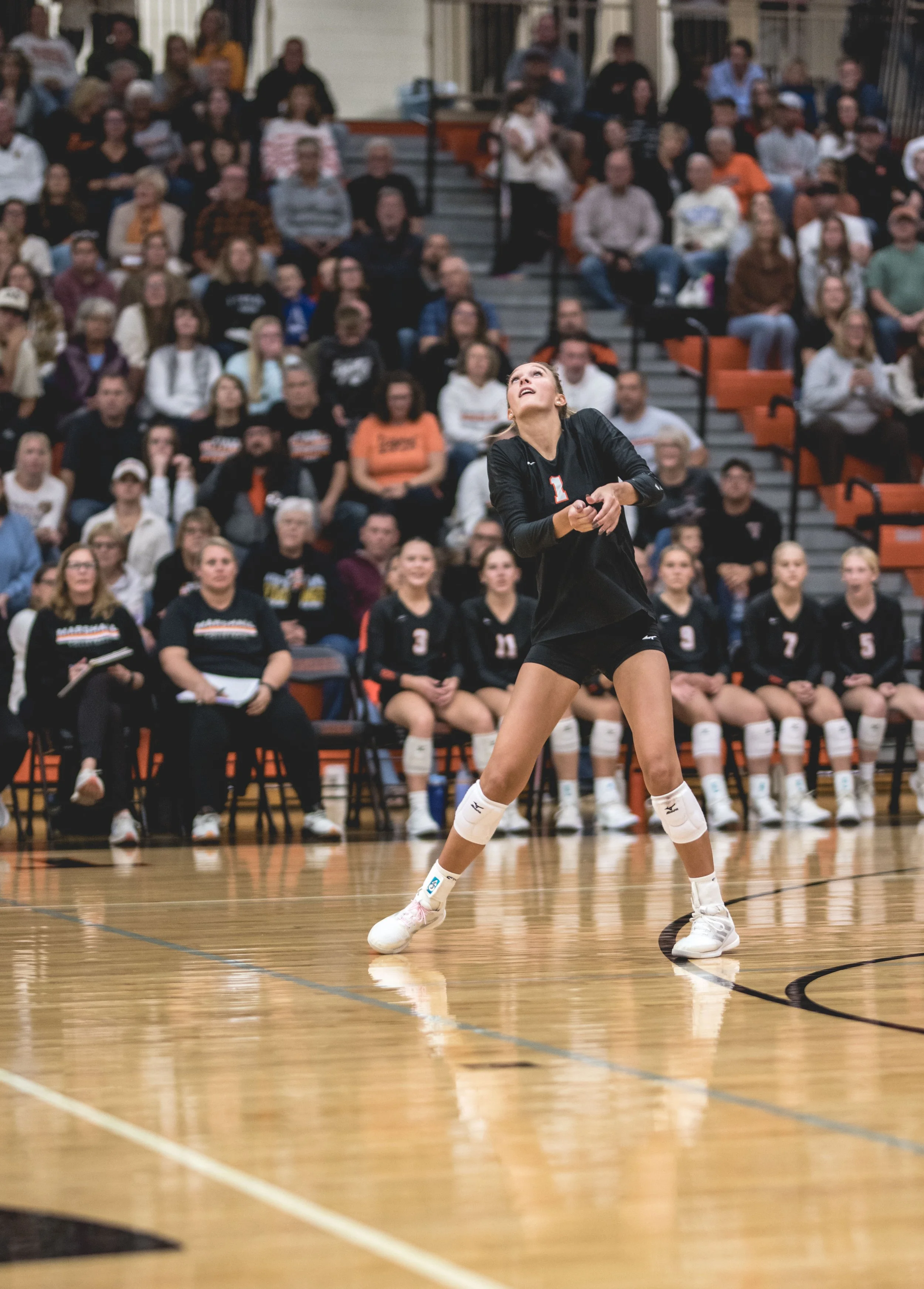 Tigers vs Alex (778).JPG