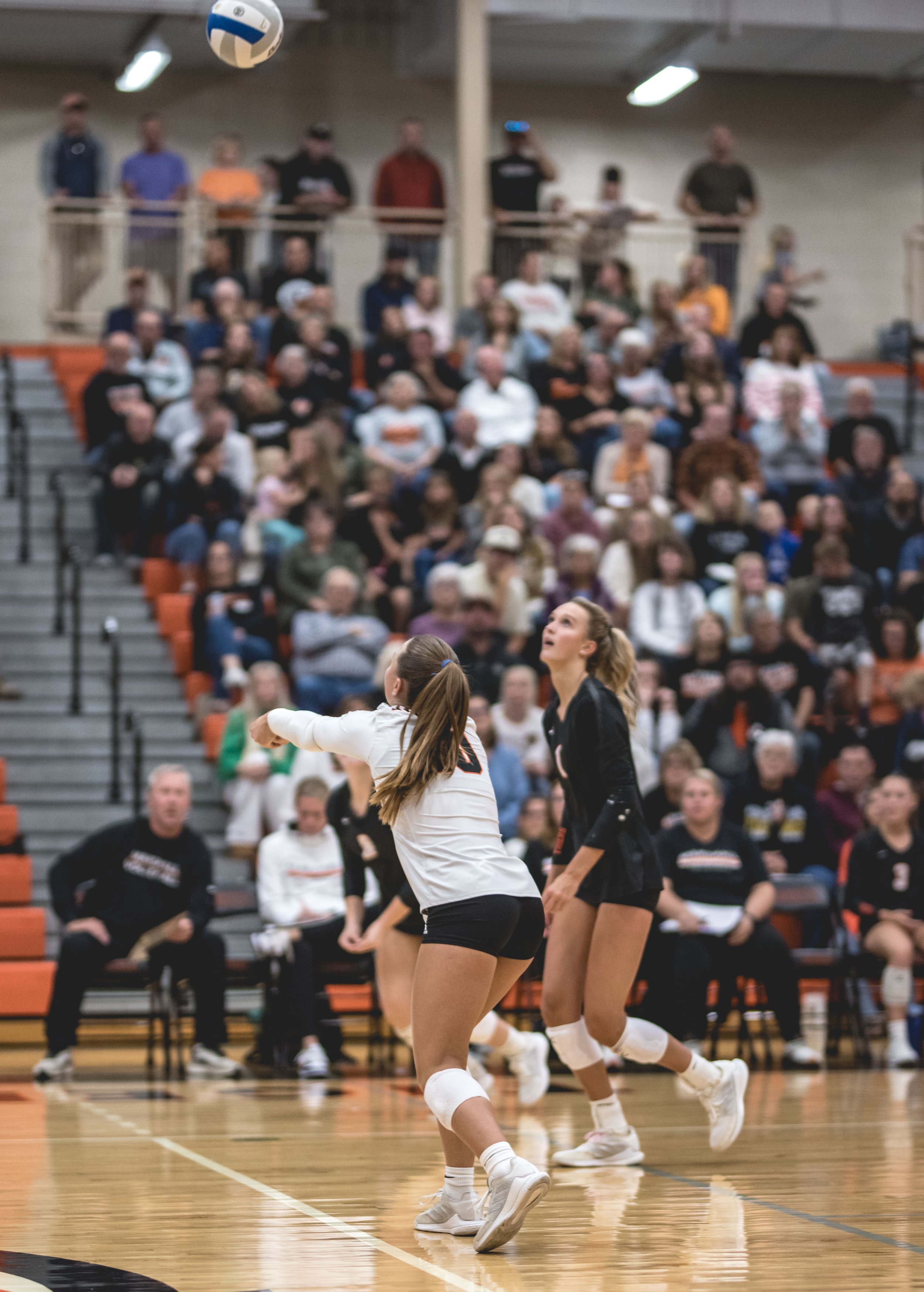 Tigers vs Alex (779).JPG