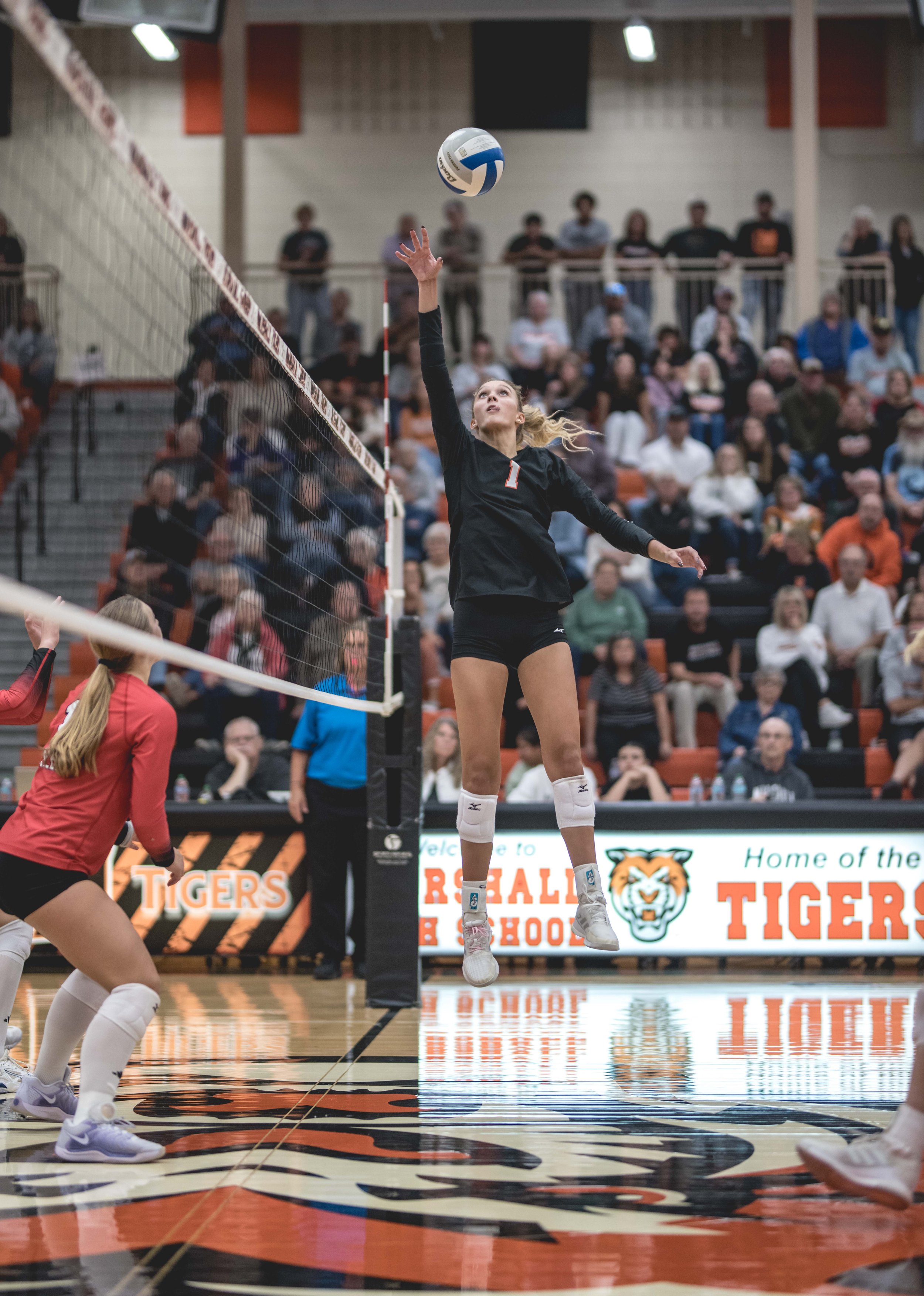 Tigers vs Alex (780).JPG