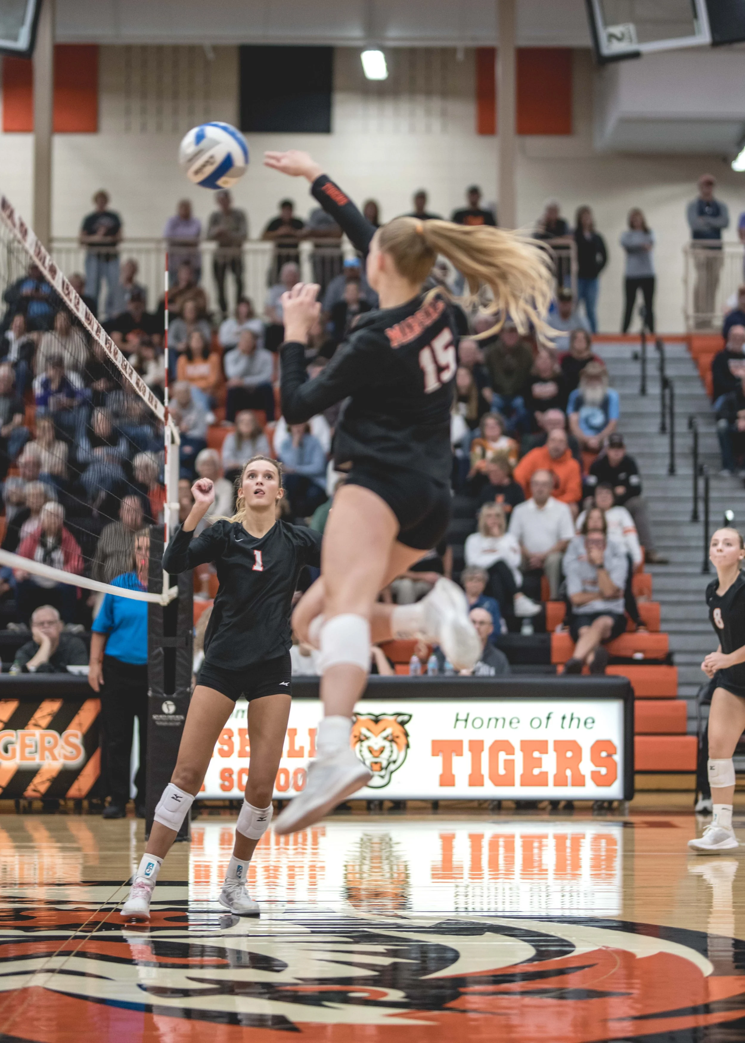 Tigers vs Alex (781).JPG