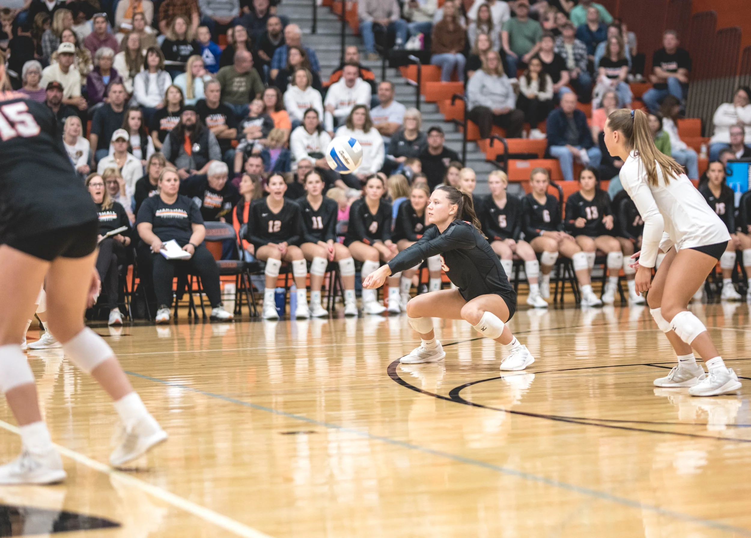 Tigers vs Alex (784).JPG