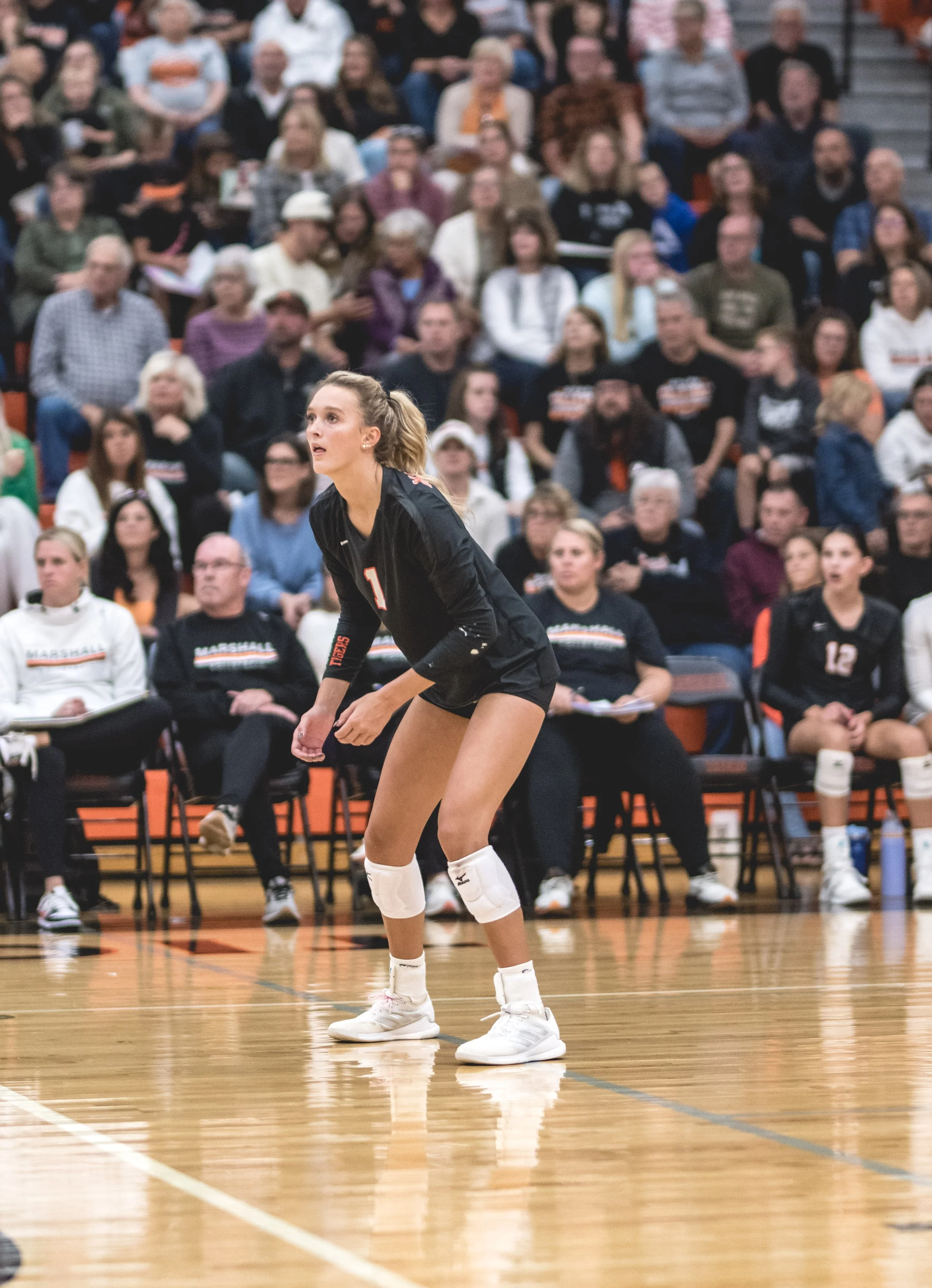 Tigers vs Alex (799).JPG