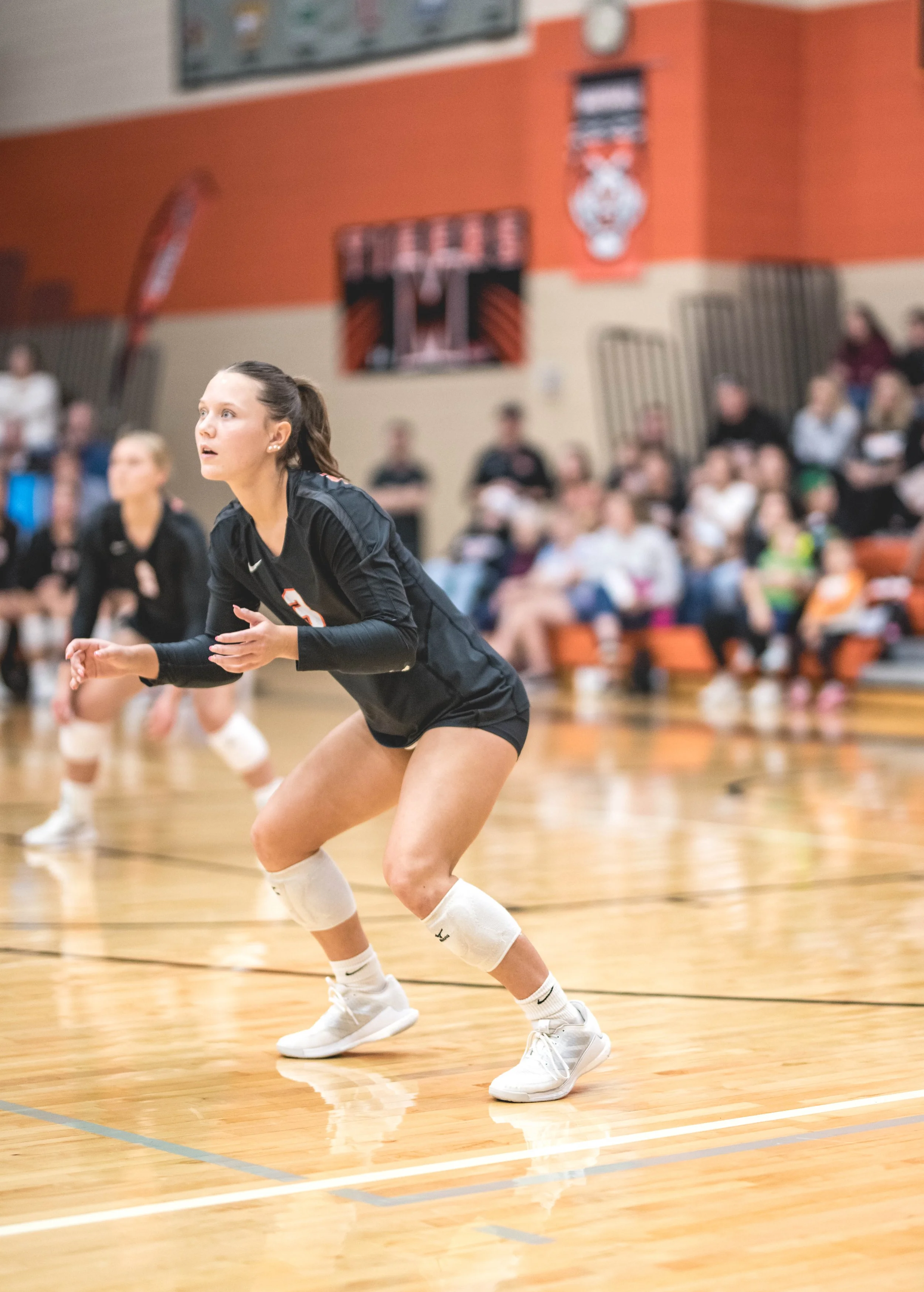 Tigers vs Alex (800).JPG