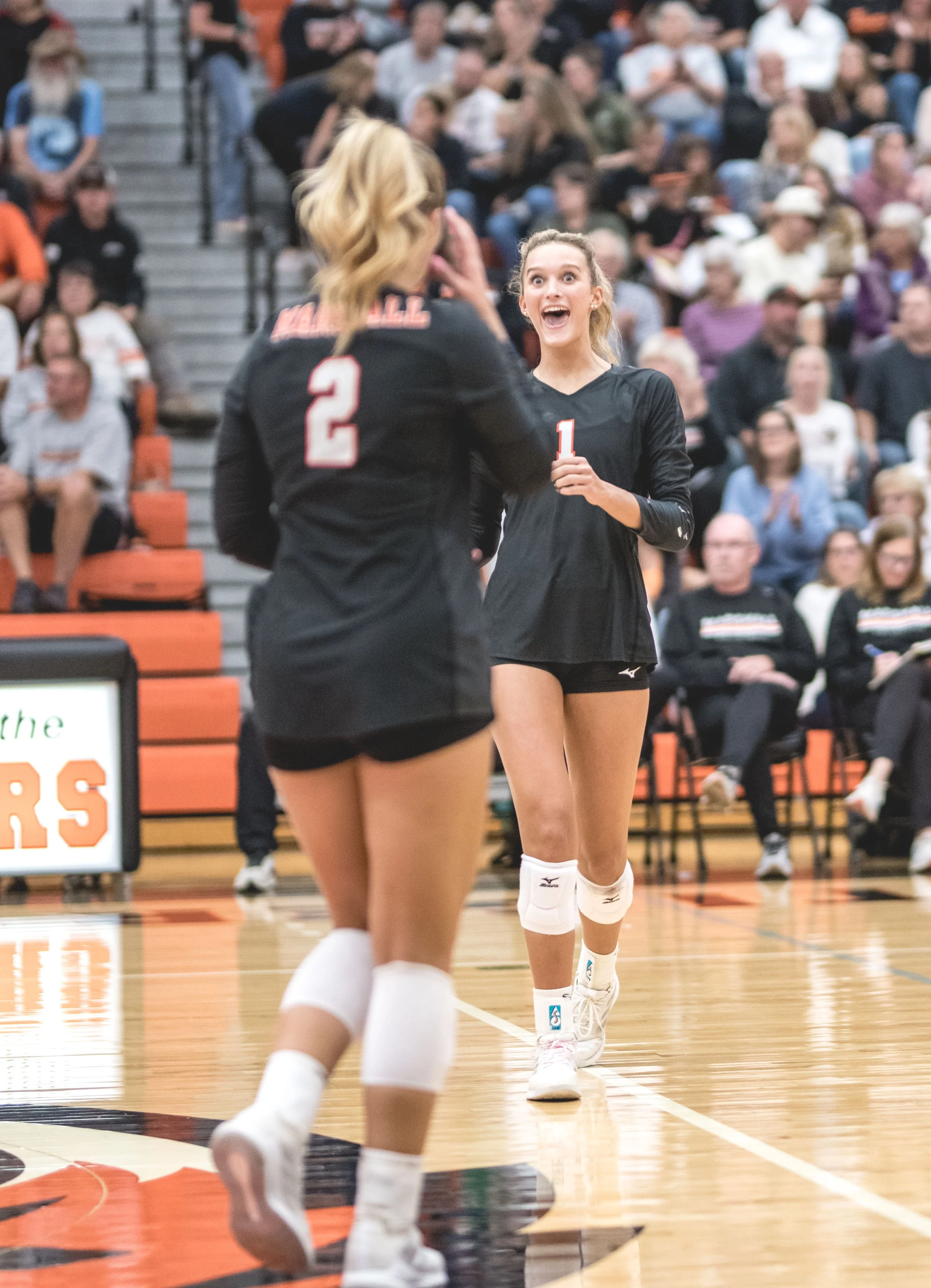 Tigers vs Alex (806).JPG